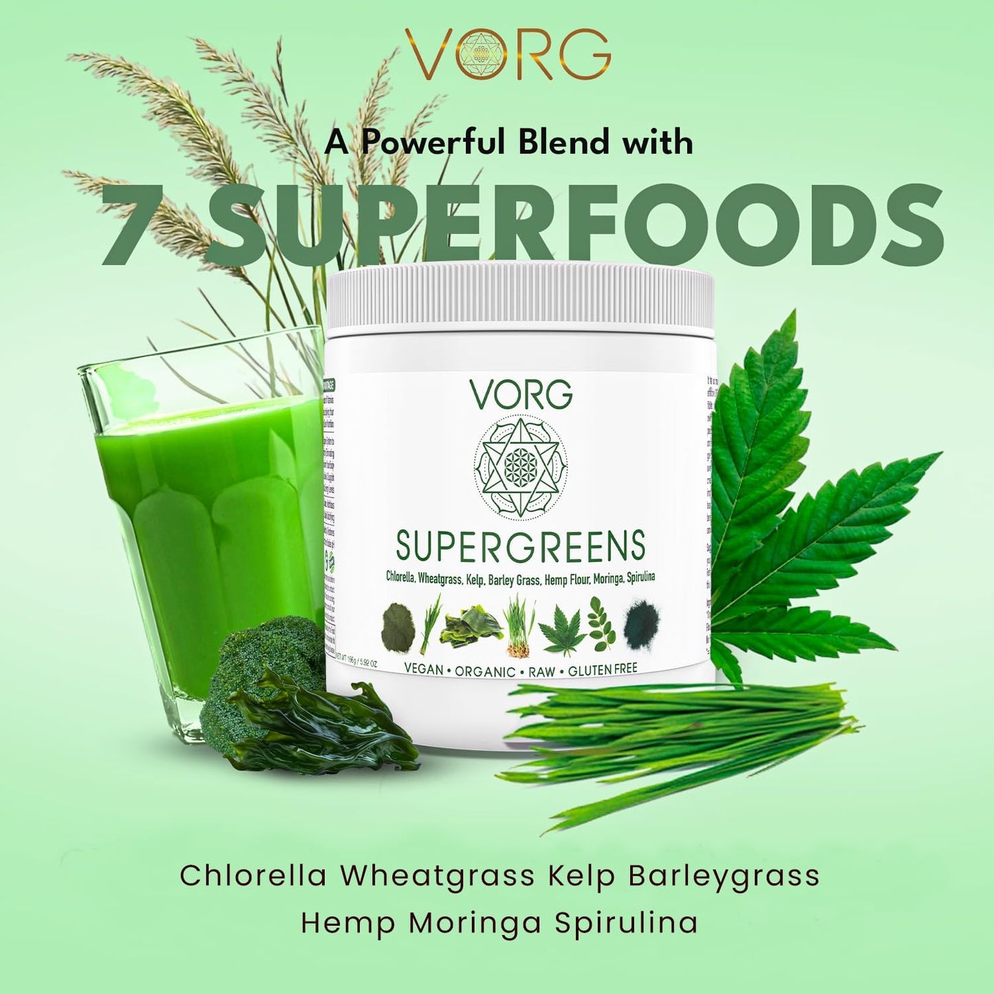 Organic SuperGreens Powder with Chlorella, Barley Grass, Moringa, Spirulina, Wheatgrass - Probiotics & Enzymes for Energy & Gut Health