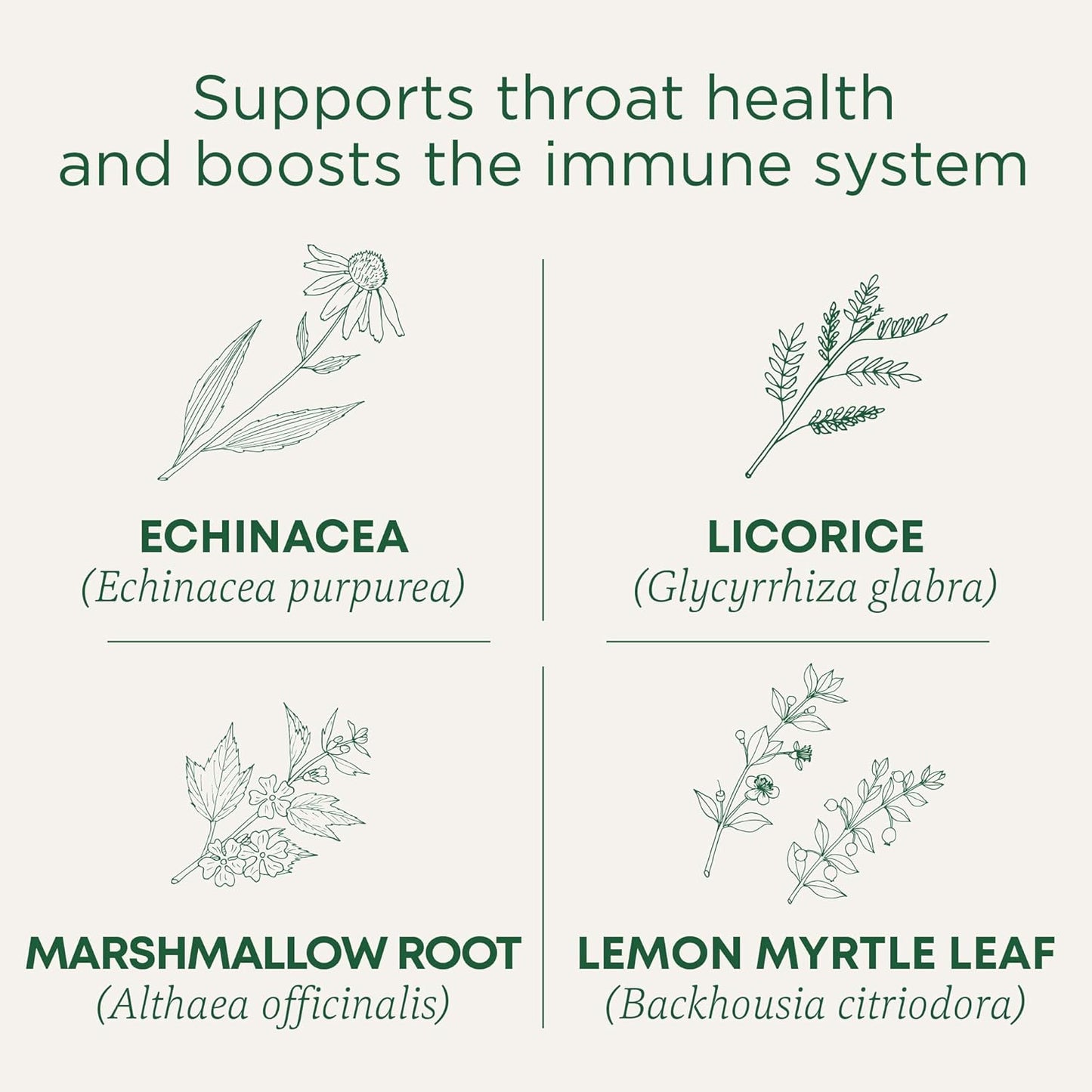 Organic Throat Coat Lemon Echinacea Tea - Supports Throat Health & Immune Function - 96 Tea Bags (3 Pack)