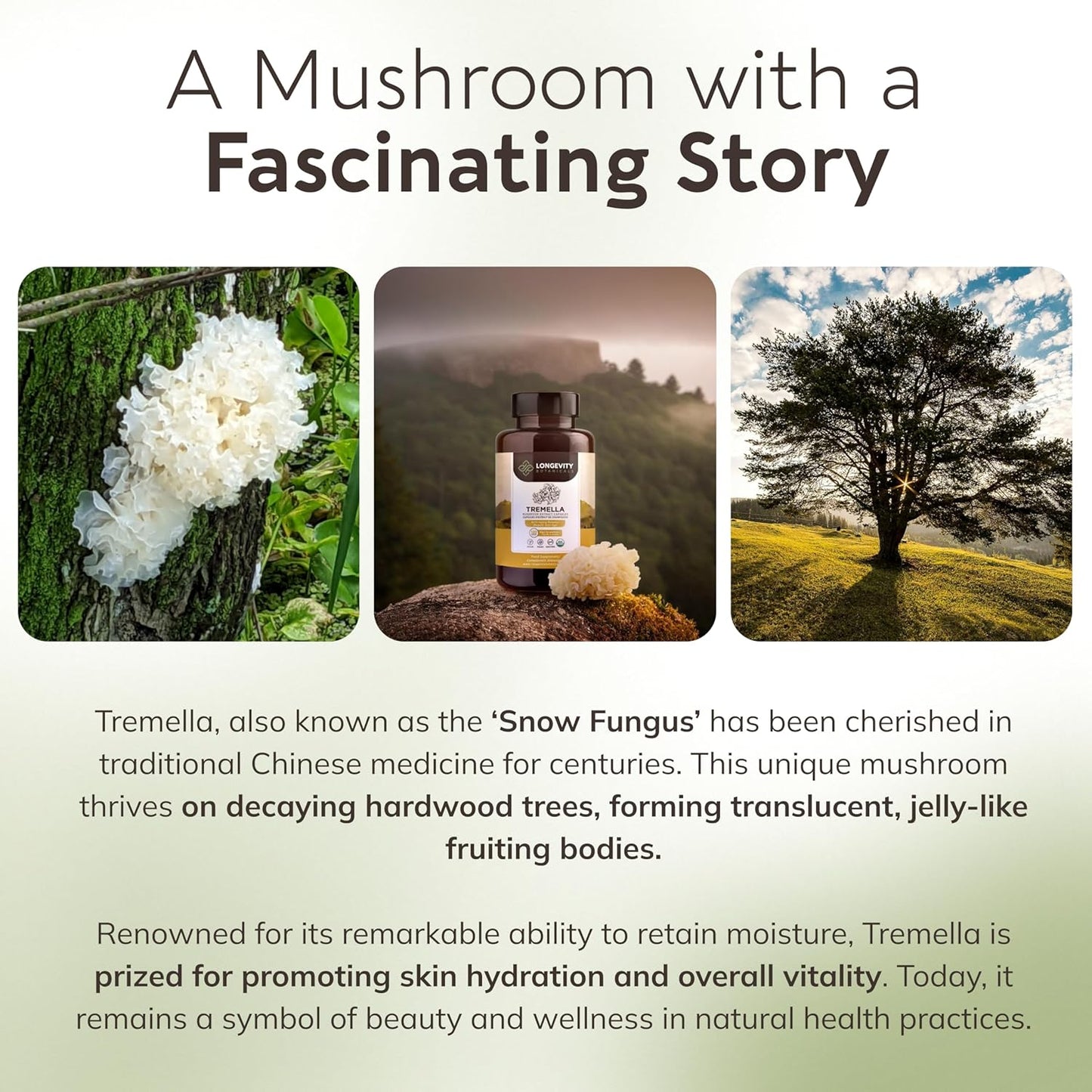 Organic Tremella Mushroom Capsules - Hydrated Skin & Memory Enhancement - 100% Fruiting Body - 120 Capsules