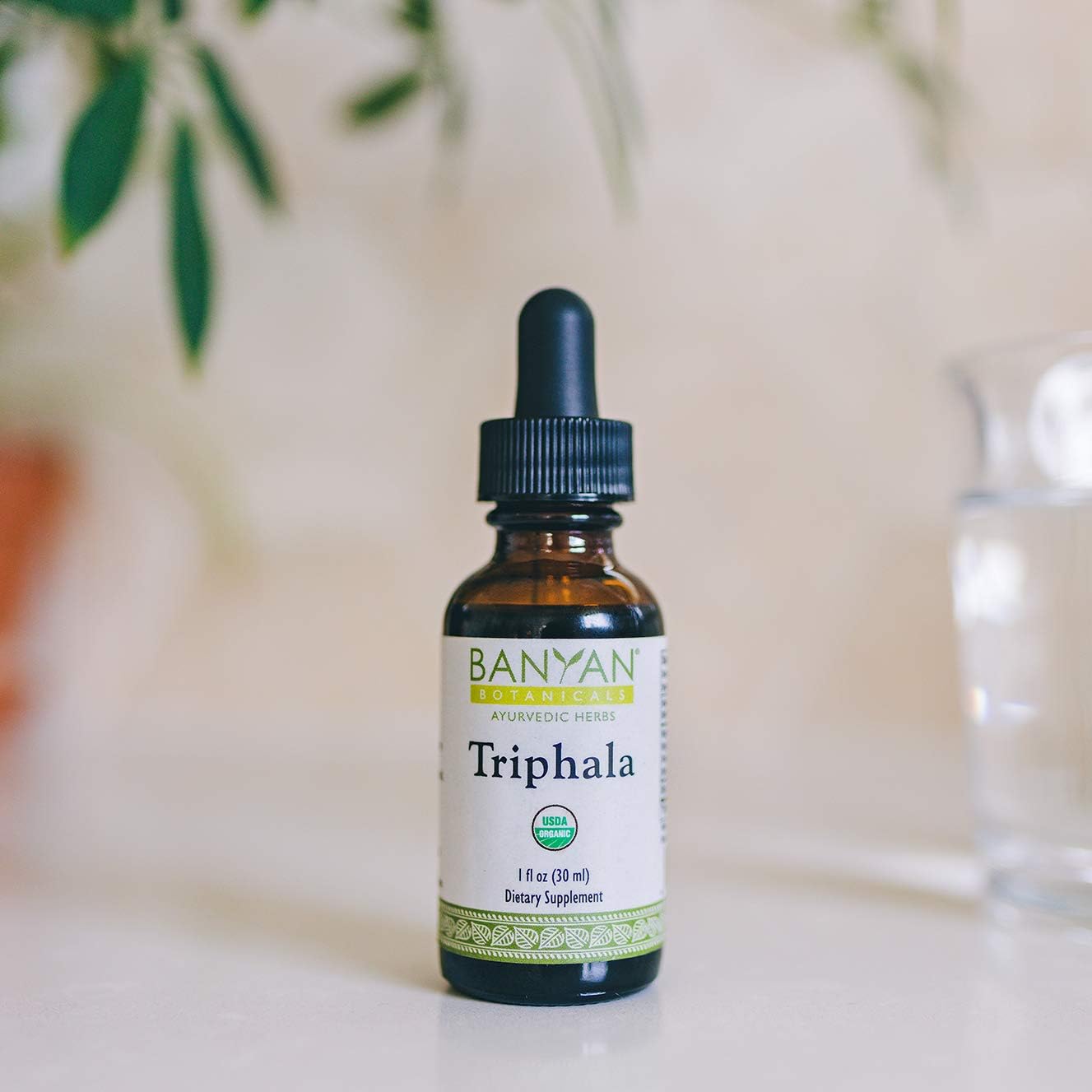 Organic Triphala Liquid Herbal Extract for Daily Detox and Rejuvenation - 1oz Bottle - Non-GMO and Vegan-Friendly