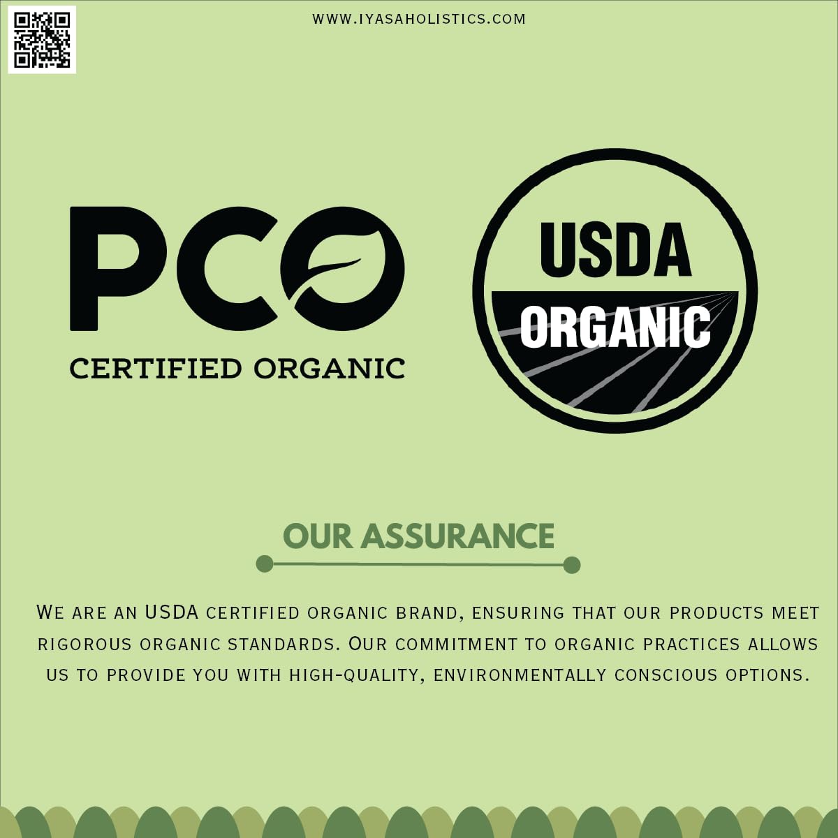 Organic Triphala Powder: Ayurvedic Superfood for Natural Body Detox and Bowel Cleansing - 8 Ounce