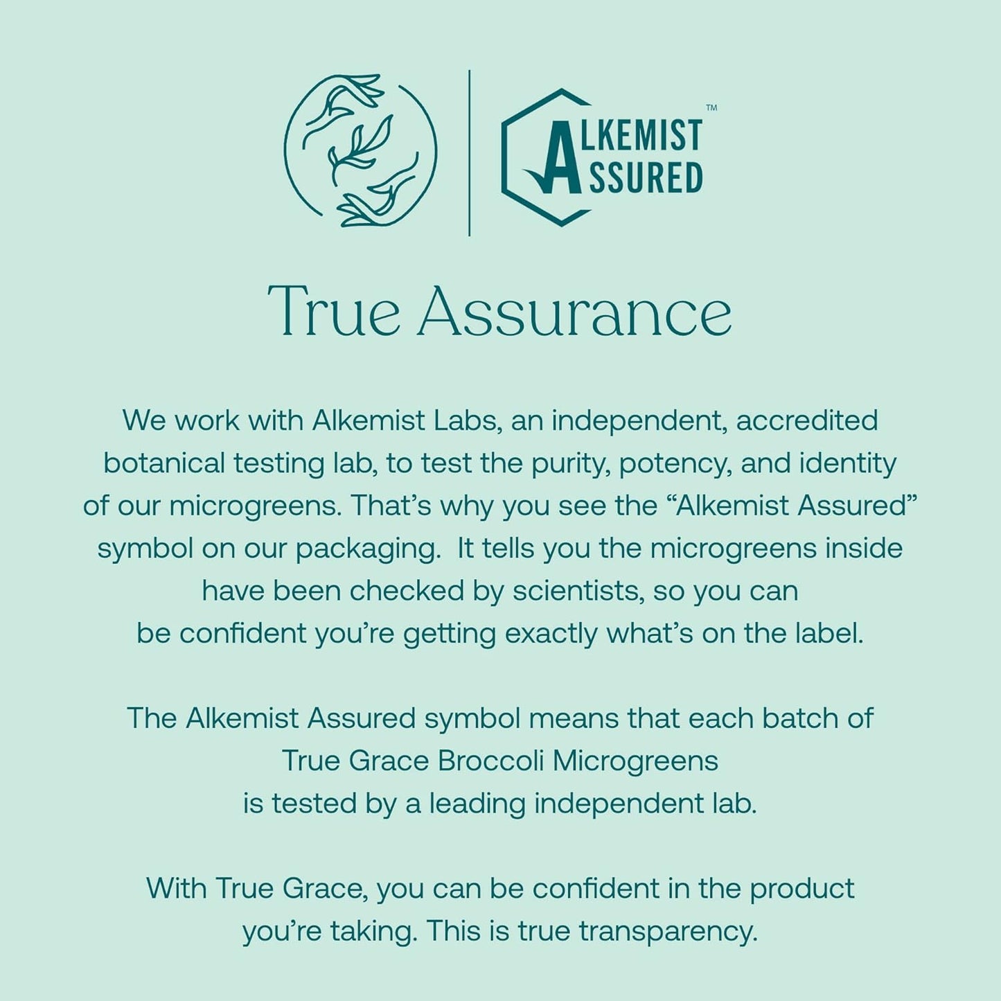 Organic True Grace True Littles MicroVeggies Superfood Powder for Kids - 0.4 oz - Immune Support - Gluten & Soy Free - Vegan - 30 Servings