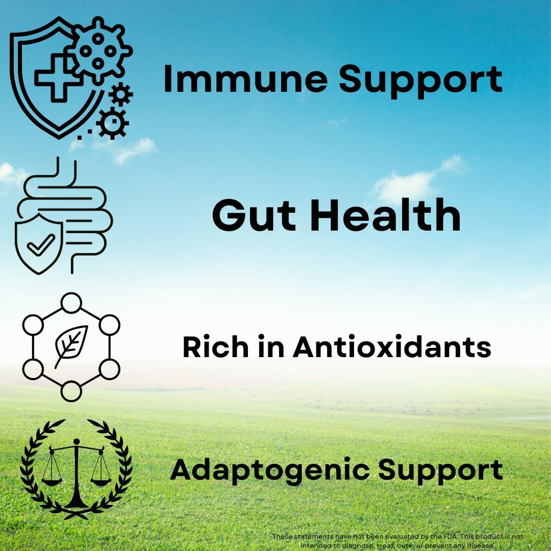 Organic Turkey Tail Mushroom Capsules - Immune Support & Antioxidant Rich Supplement, Natural Digestive Health Aid - 60 Capsules for Wellness & Vitality