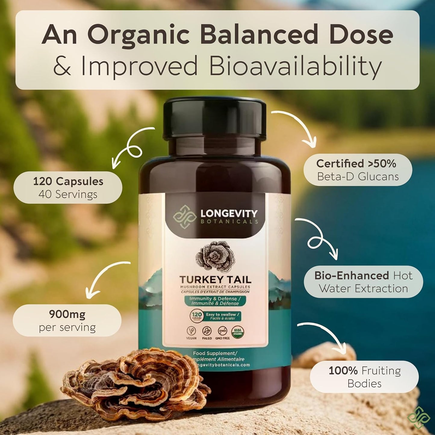 Organic Turkey Tail Mushroom Capsules - Ultra Concentrated Supplement for Immune and Digestive Health - 100% Fruiting Body - 120 Count