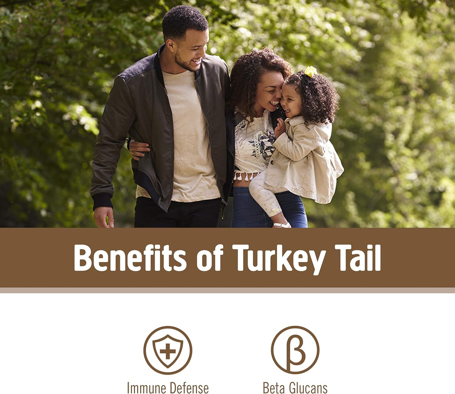 Organic Turkey Tail Mushroom Powder for Immune Support & Gut Health - 3.5oz, 50 Servings, Superfood Supplement