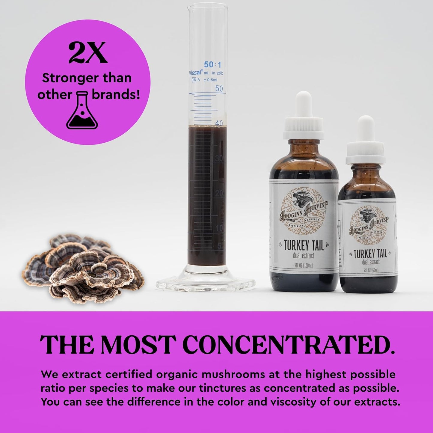 Organic Turkey Tail Mushroom Tincture | Grown on USA Farm | Dual Extract | Extra-Concentrated (2 fl oz)