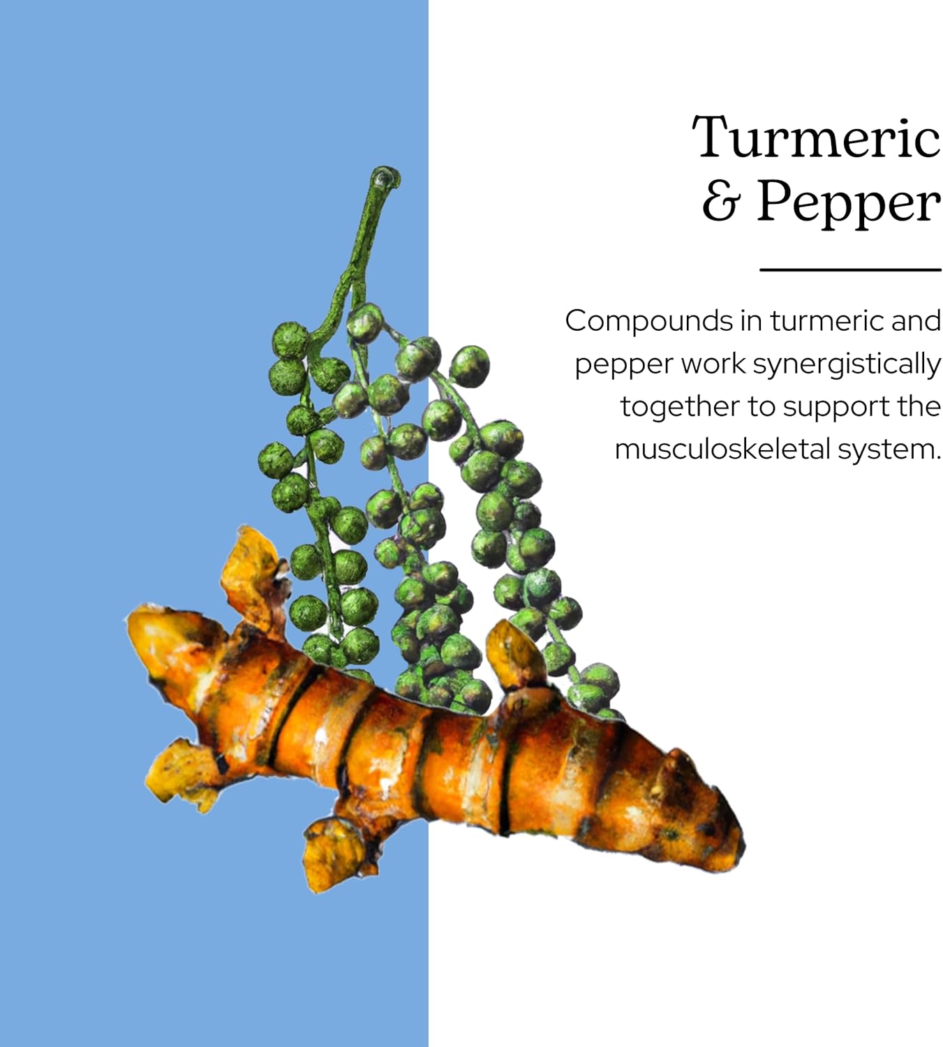 Organic Turmeric and Pepper Capsules | Freeze-Dried Non-GMO | 90 Count (430 mg) by Eclectic Institute