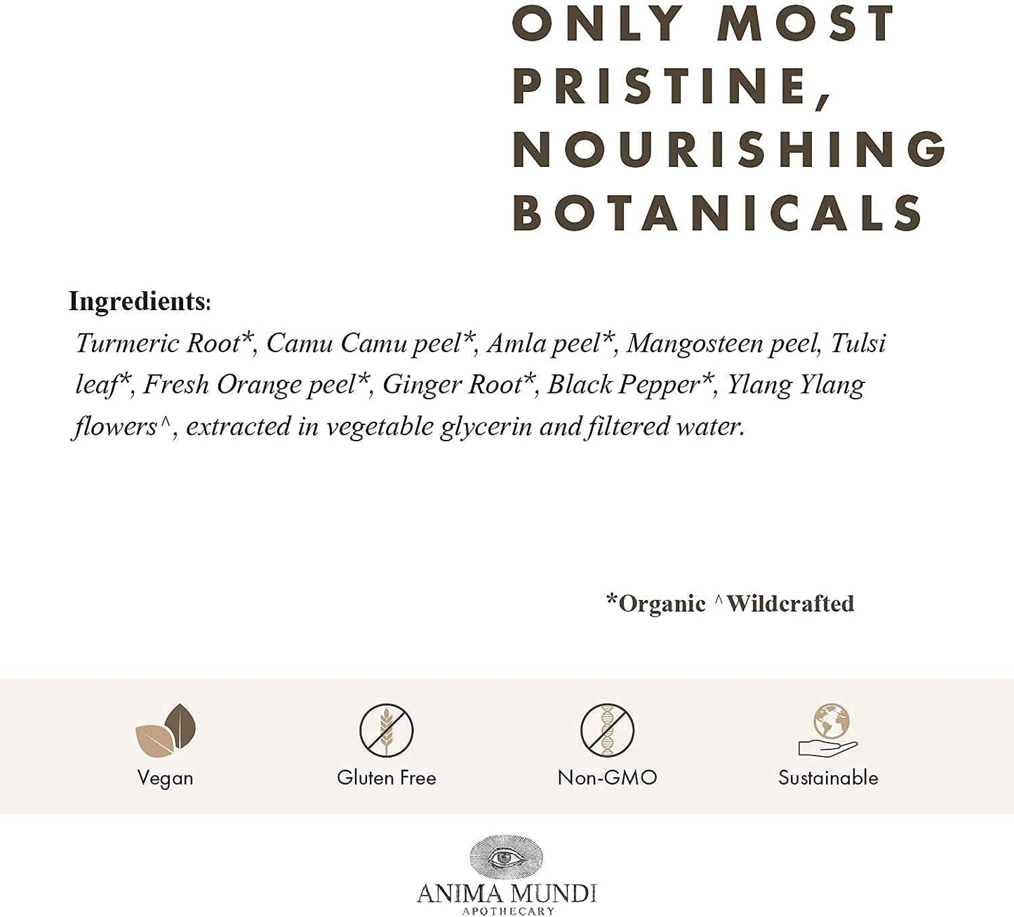 Organic Turmeric Beauty Elixir - Anima Mundi Apothecary Curam Liquid Tincture (4oz)