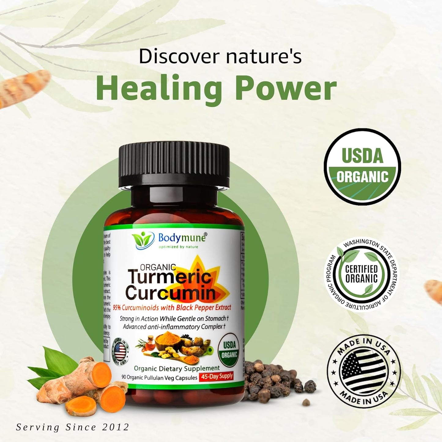 Organic Turmeric Curcumin Capsules with Sea Buckthorn Oil, Amla, Ginger, and Piperine - Vegan Non-GMO Formula for Sensitive Stomachs