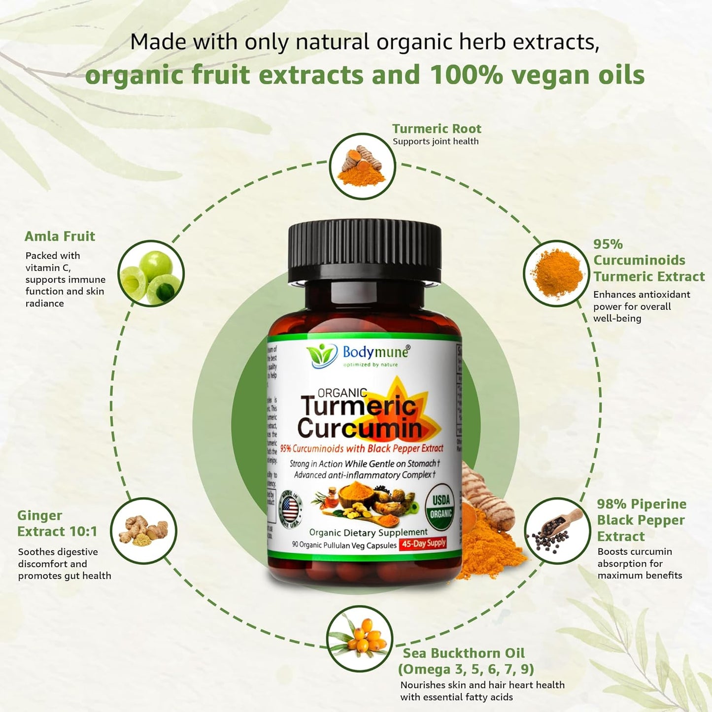 Organic Turmeric Curcumin Capsules with Sea Buckthorn Oil, Amla, Ginger, and Piperine - Vegan Non-GMO Formula for Sensitive Stomachs
