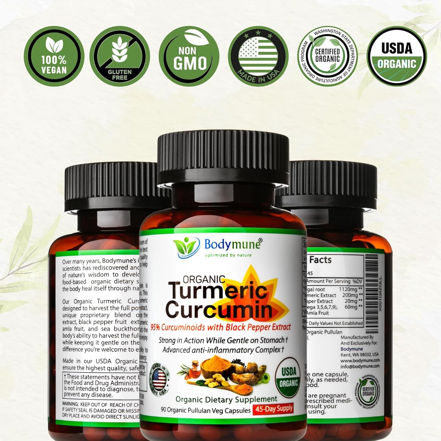 Organic Turmeric Curcumin Capsules with Sea Buckthorn Oil, Amla, Ginger, and Piperine - Vegan Non-GMO Formula for Sensitive Stomachs