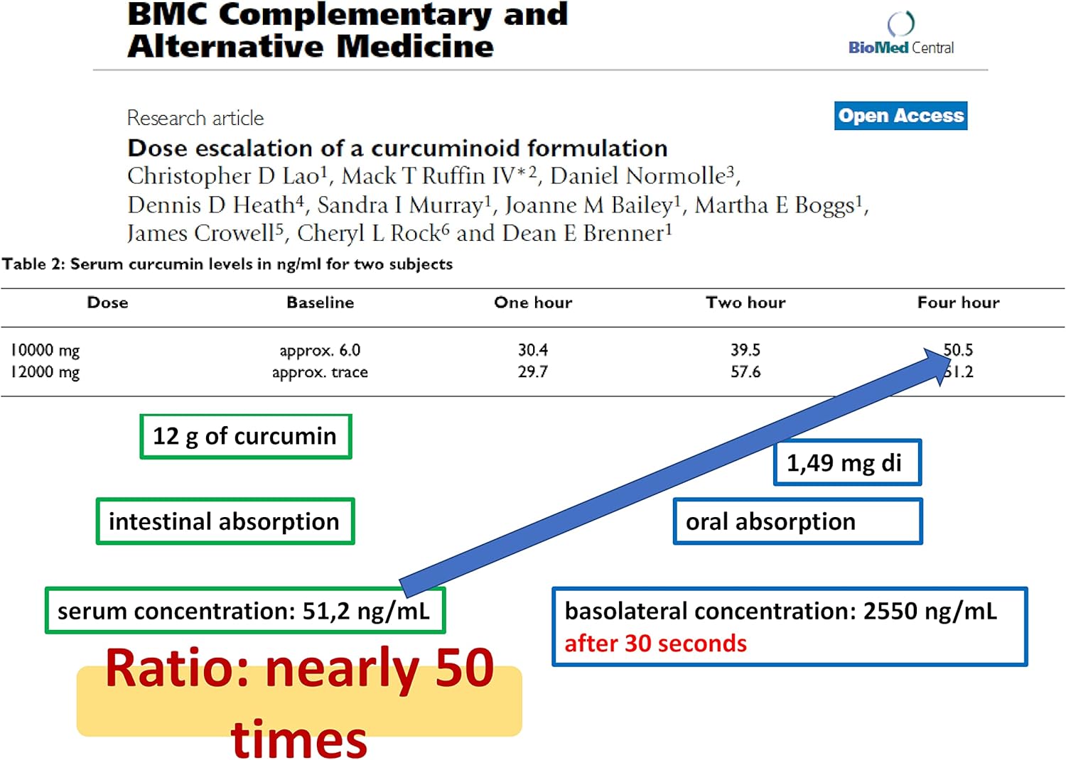 Organic Turmeric Curcumin Supplement Gel with HGC-C Complex - 95% Curcumin Powder - Enhanced Bioavailability - 20 Stick-Packs - ItaMed S.R.L.