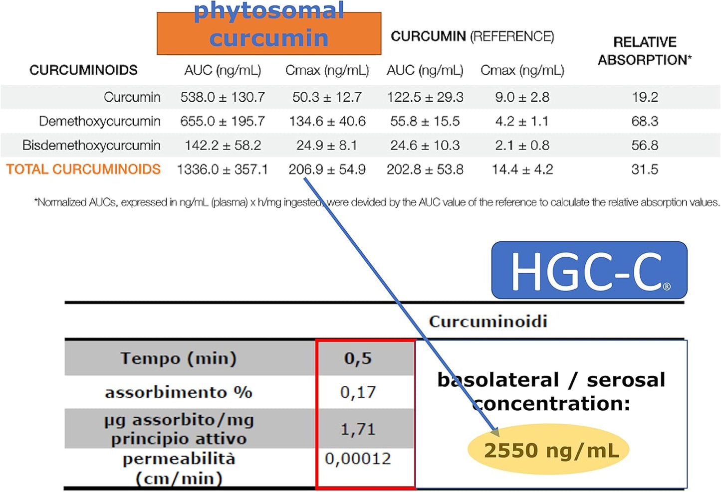 Organic Turmeric Curcumin Supplement Gel with HGC-C Complex - 95% Curcumin Powder - Enhanced Bioavailability - 20 Stick-Packs - ItaMed S.R.L.