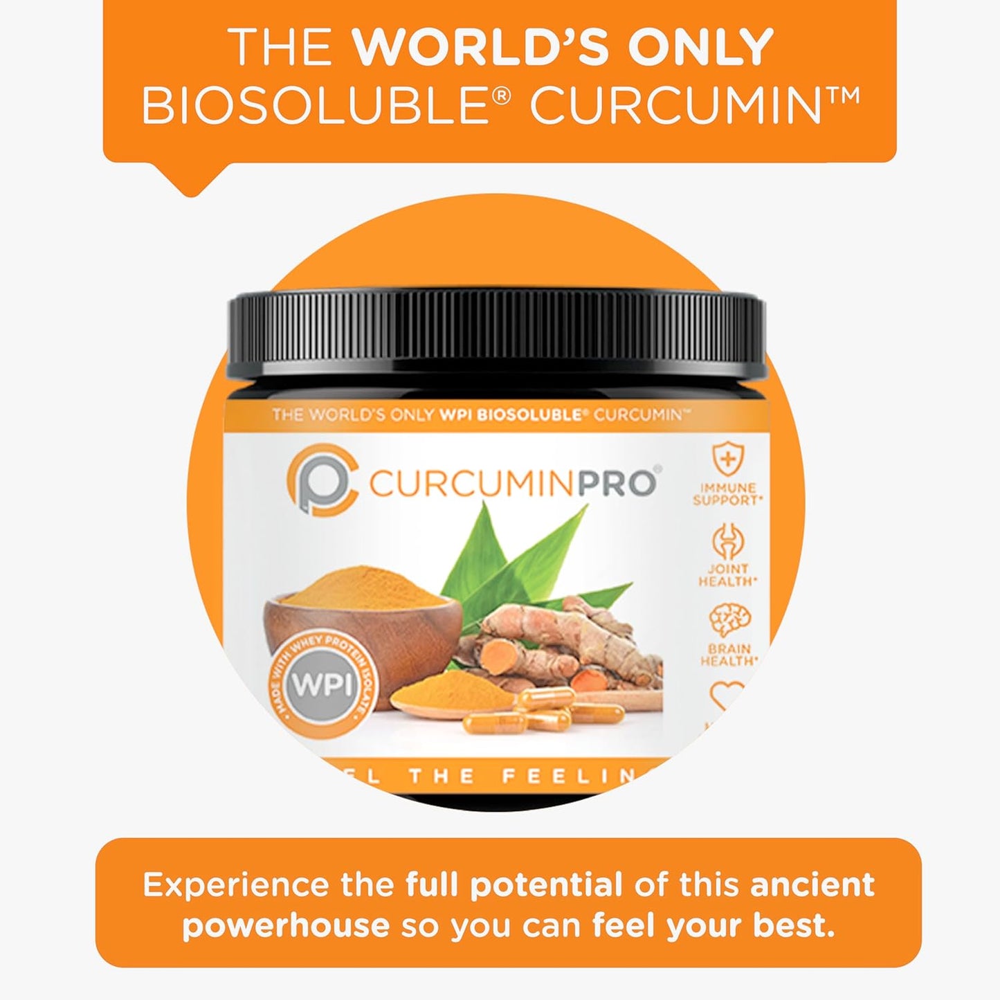 Organic Turmeric Derived CurcuminPro Complete Bulk Powder - 90g BioSoluble Joint & Muscle Support