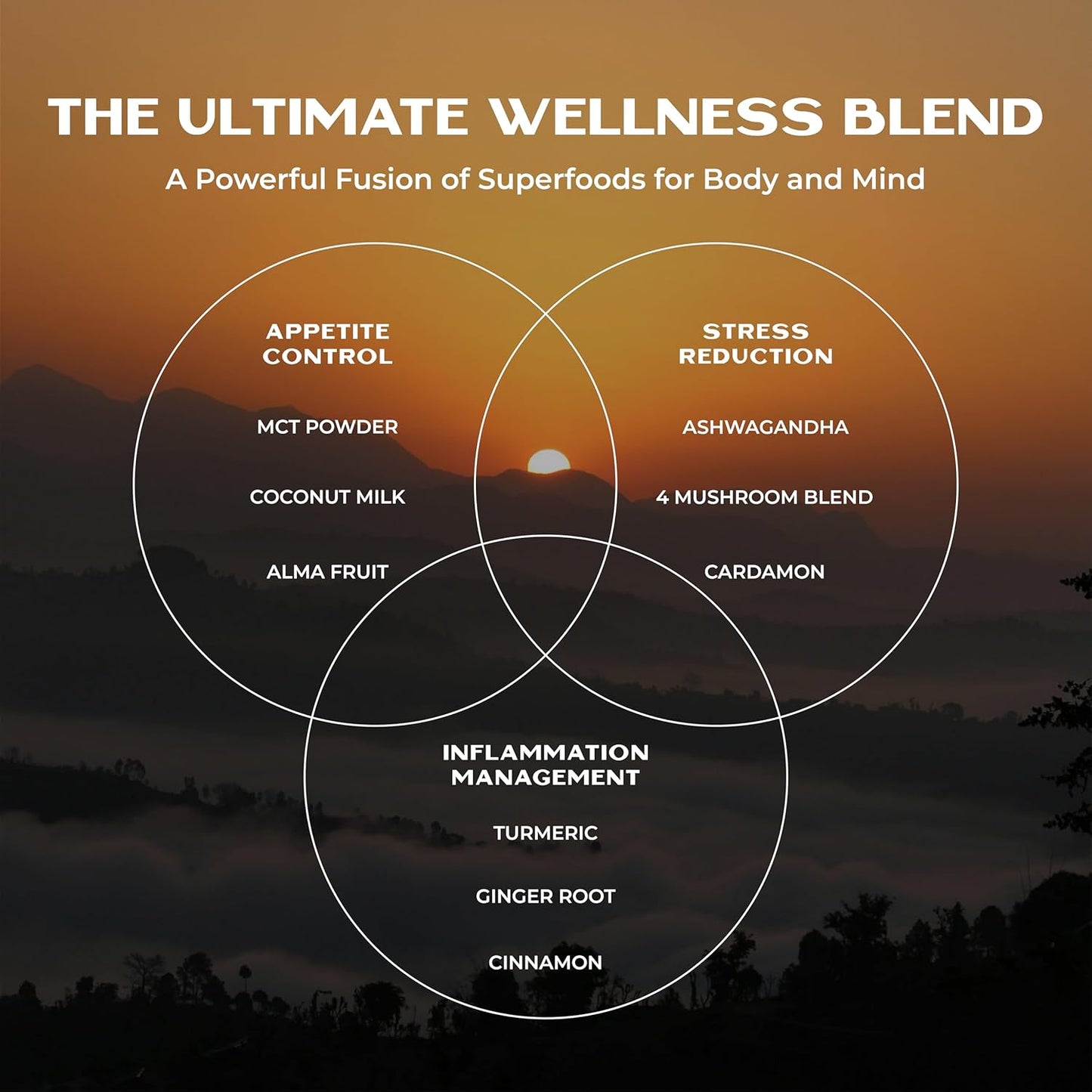 Organic Turmeric Elixir Blend with Ashwagandha Root, MCT Oil, and Mushroom Blend for Restful Sleep and Immune Support - 30 Servings - BoostGo Australia