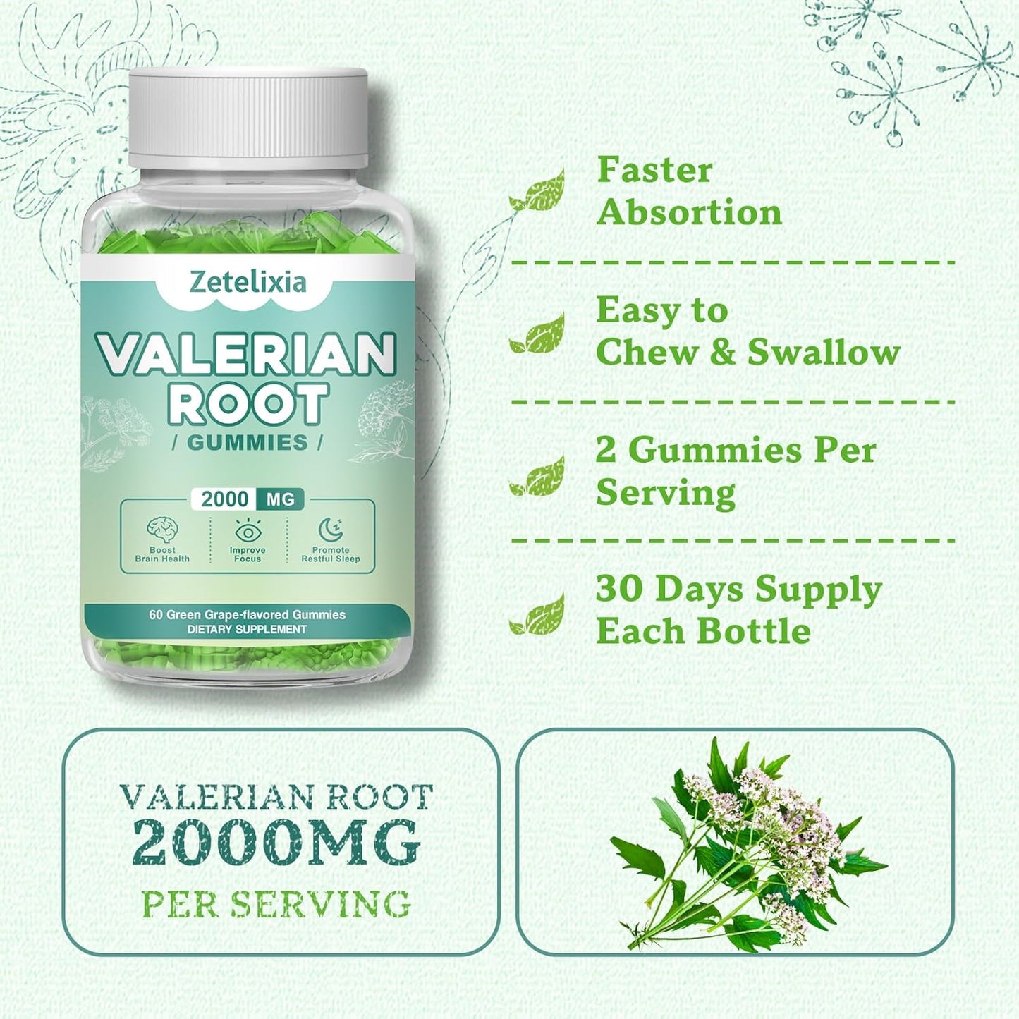 Organic Valerian Root Gummies for Relaxation and Mood Support - Gluten-Free, Vegan, Green Grape Flavor - 60 Count