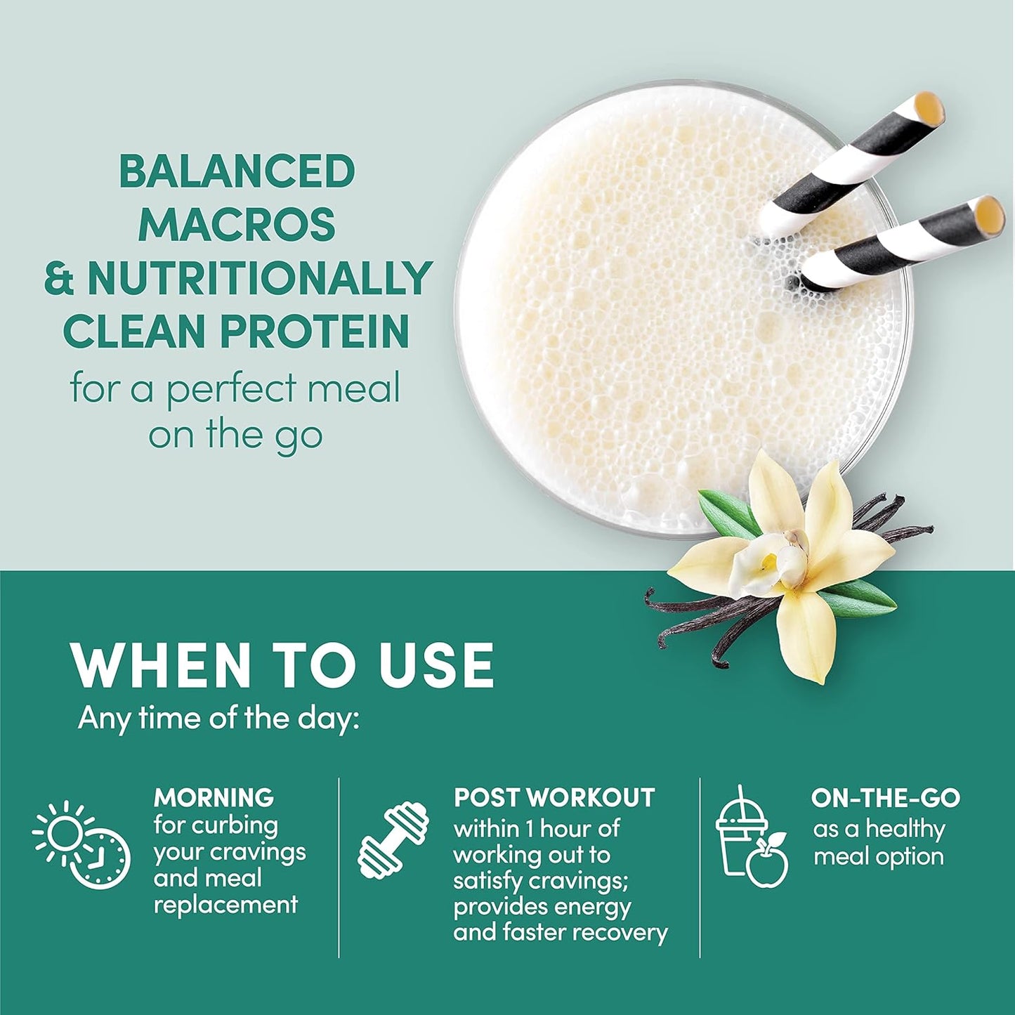 Organic Vanilla Bean Designer Whey Protein Meal Replacement Powder with Superfood Complex Carbs - 1.72 Pound