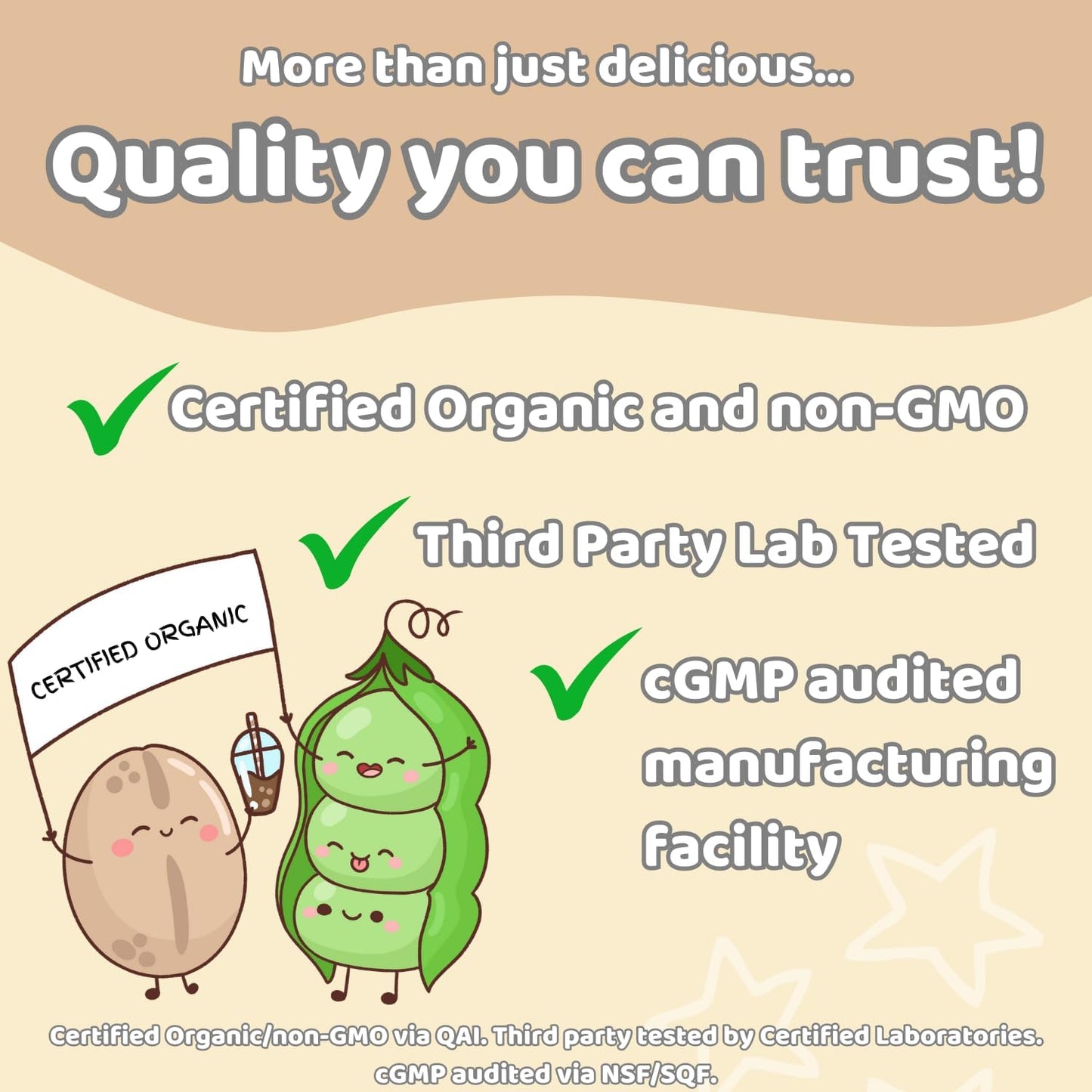 Organic Vanilla Caramel Pea Protein Oatmilk Blend - 30 Servings, 1lb Bag | Vegan, Non-GMO, Allergen Free, 100 Calories