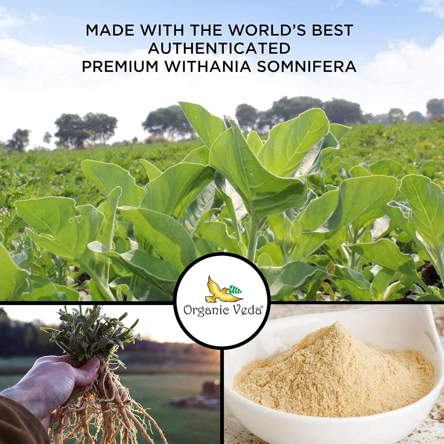 Organic Veda Ashwagandha Capsules 1500mg with Black Pepper Extract - Pure Organic Ashwagandha Root - Mood & Energy Support Supplement - 120 Veggie Caps