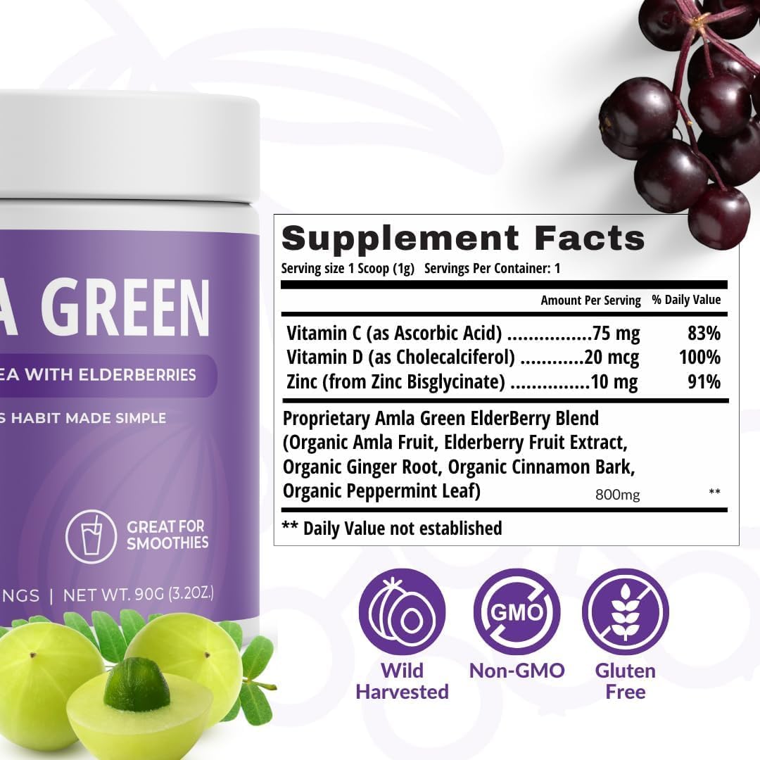 Organic Vegan Amla Green Powder & Green Tea Superfood Supplement with Elderberry & Pumpkin Spice - 30 Servings