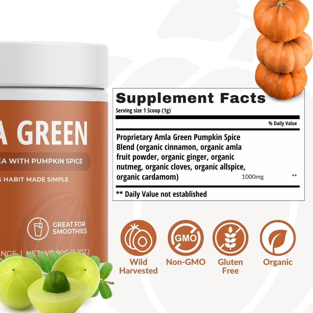 Organic Vegan Amla Green Powder & Green Tea Superfood Supplement with Elderberry & Pumpkin Spice - 30 Servings