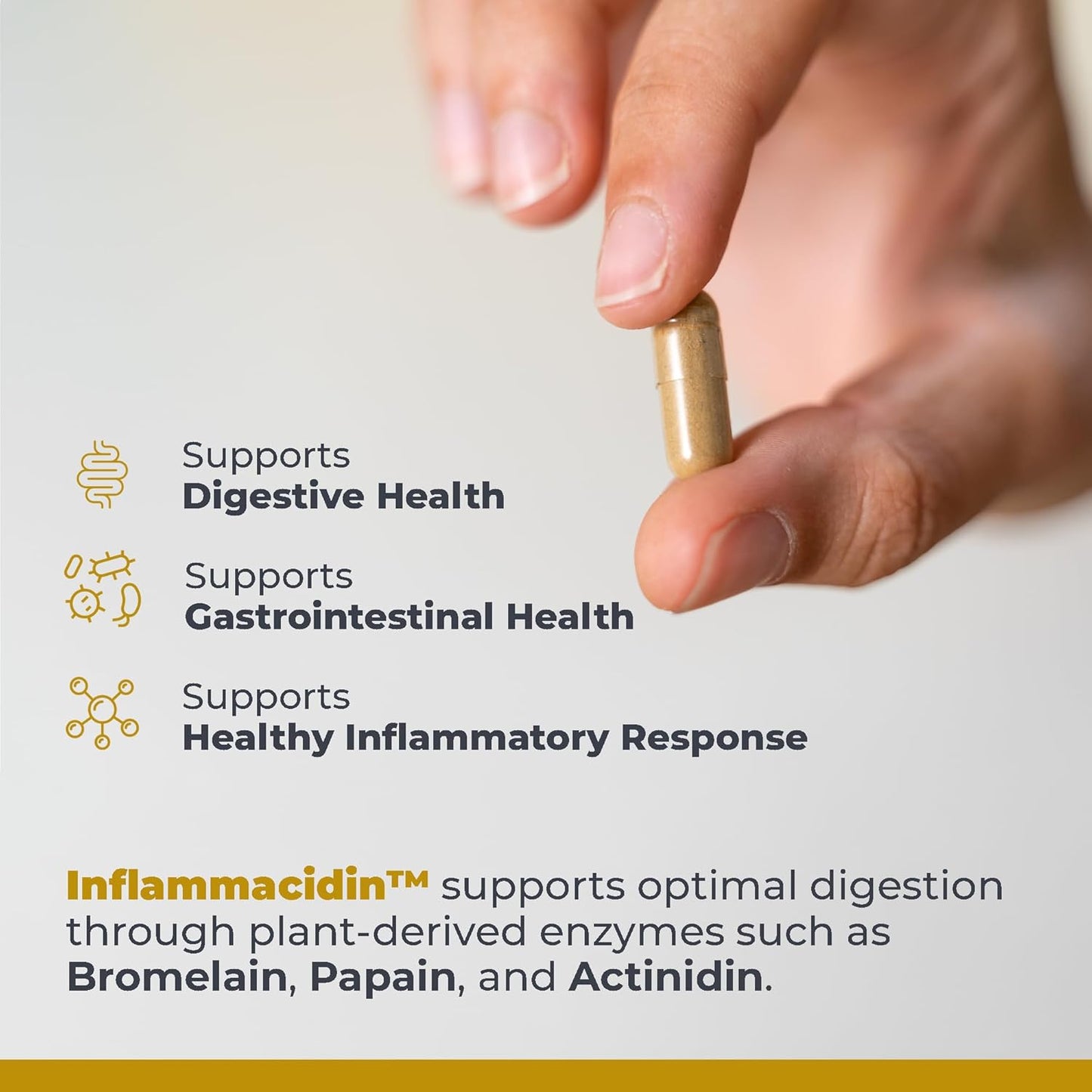 Organic Vegan Digestive Enzymes - Premier Research Labs Inflammacidin - Supports GI Health - 90 Capsules