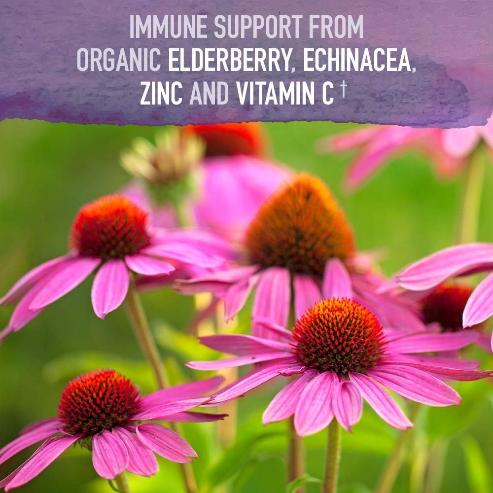 Organic Vegan Elderberry Immune Syrup for Kids & Adults - 6.59 fl oz - Sambucus, Echinacea, Zinc, Vitamin C - Sugar-Free - Gluten Free Herbal Supplement by Garden of Life Organics