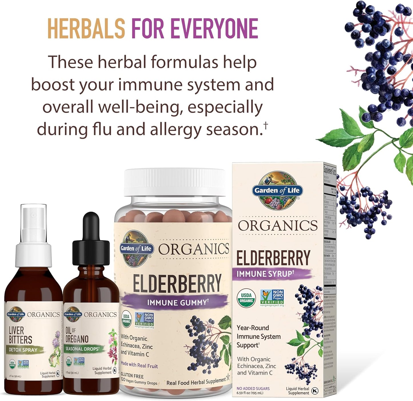 Organic Vegan Elderberry Immune Syrup for Kids & Adults - 6.59 fl oz - Sambucus, Echinacea, Zinc, Vitamin C - Sugar-Free - Gluten Free Herbal Supplement by Garden of Life Organics