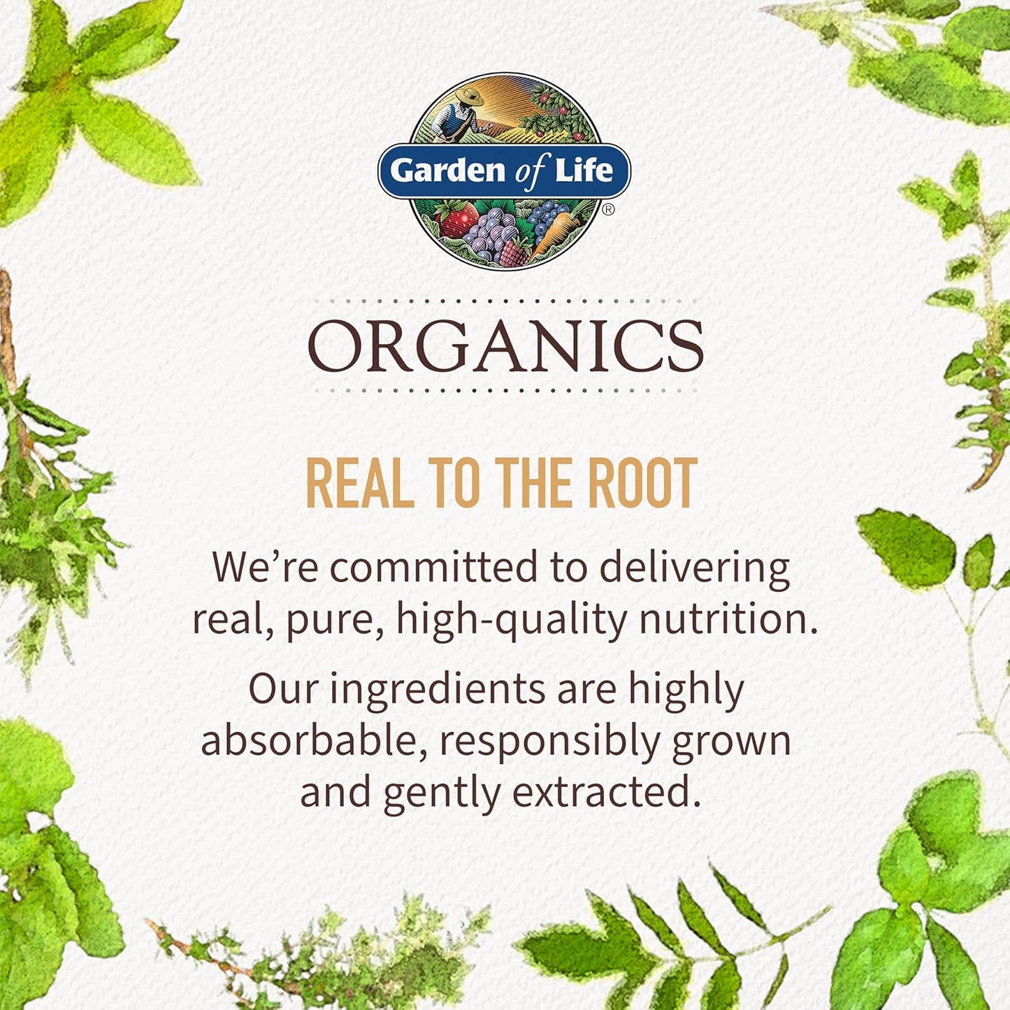Organic Vegan Elderberry Immune Syrup for Kids & Adults - 6.59 fl oz - Sambucus, Echinacea, Zinc, Vitamin C - Sugar-Free - Gluten Free Herbal Supplement by Garden of Life Organics