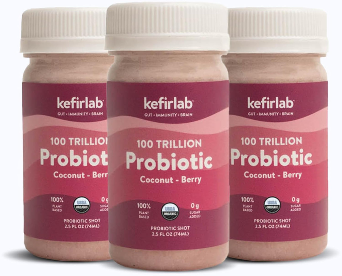 Organic Vegan KefirLab Probiotics - 100T CFU, 36 Strains - Berry Flavor, Immune & Digestive Support - Pack of 16