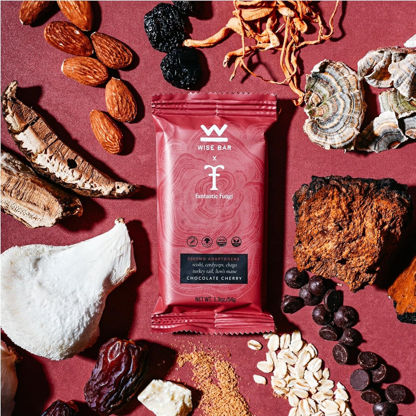 Organic Vegan Mushroom Nutrition Bars with Reishi, Lions Mane & Ashwagandha for Focus & Energy, Chocolate Cherry, 12 Count
