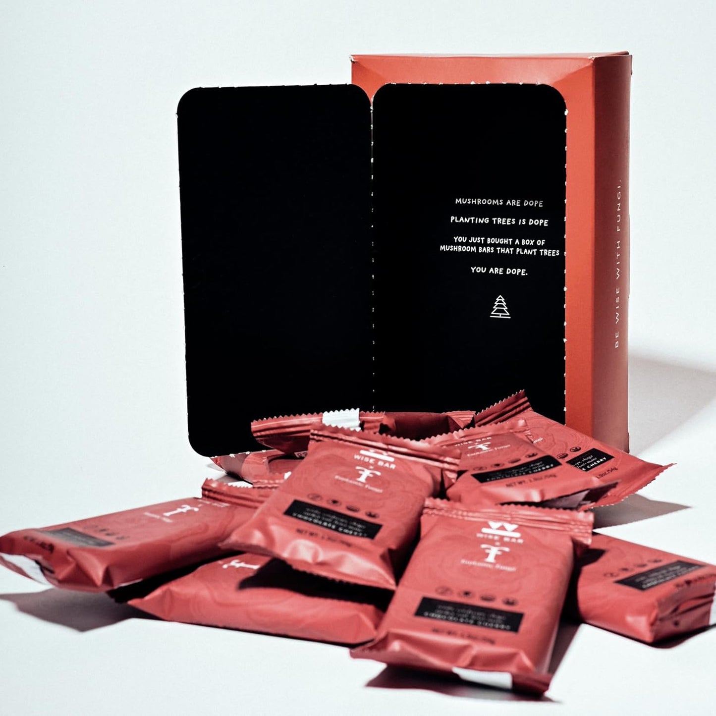 Organic Vegan Mushroom Nutrition Bars with Reishi, Lions Mane & Ashwagandha for Focus & Energy, Chocolate Cherry, 12 Count