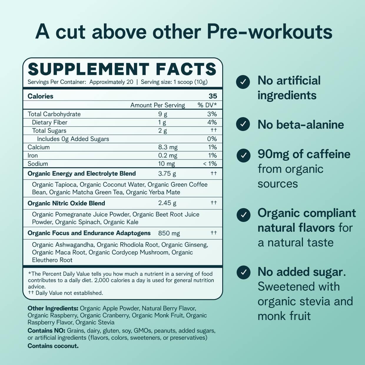 Organic Vegan Pre Workout Powder Berry Beet Flavor - Soy-Free & Gluten-Free Energy Boost for Men & Women, 20 Servings - BoostGo Australia