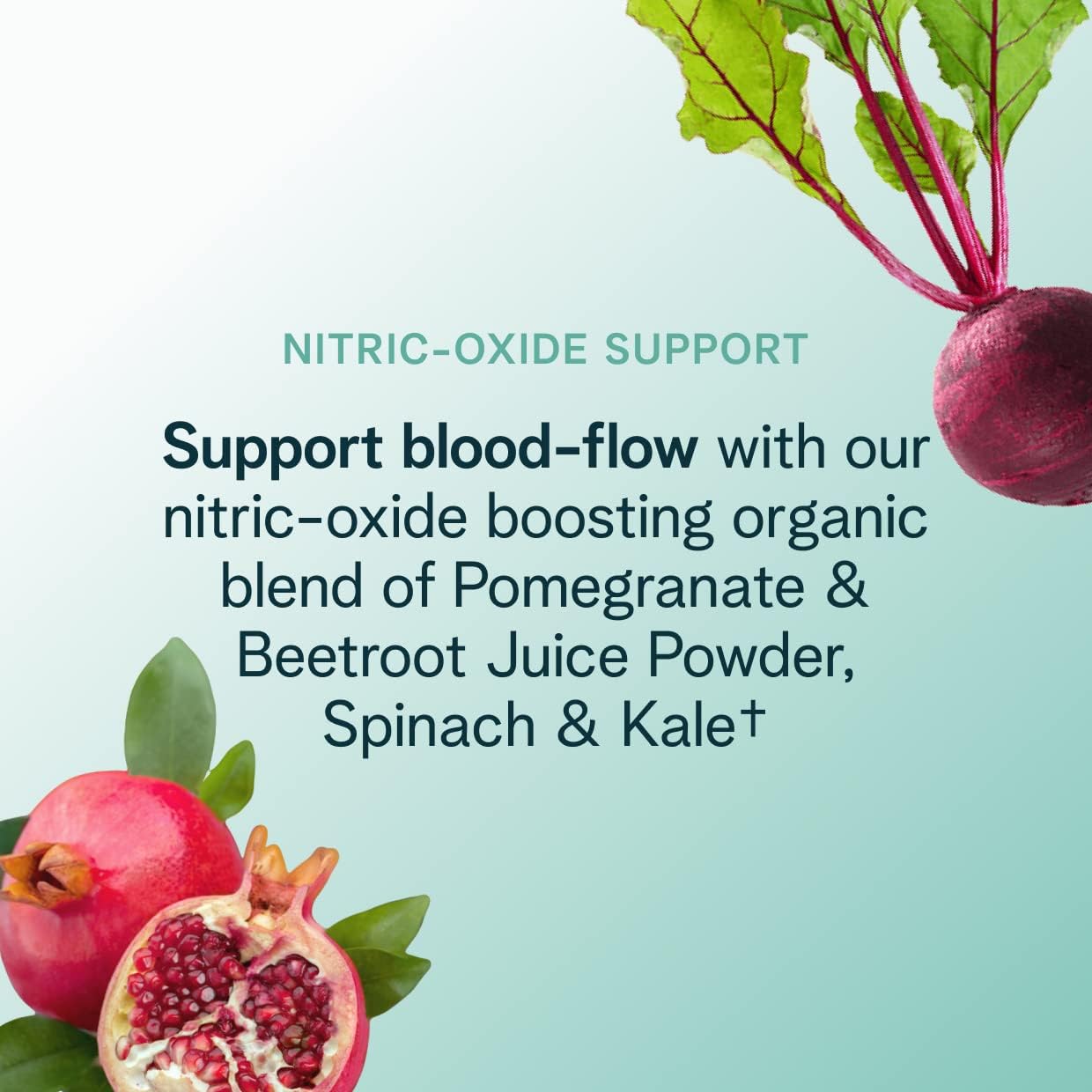Organic Vegan Pre Workout Powder Berry Beet Flavor - Soy-Free & Gluten-Free Energy Boost for Men & Women, 20 Servings - BoostGo Australia
