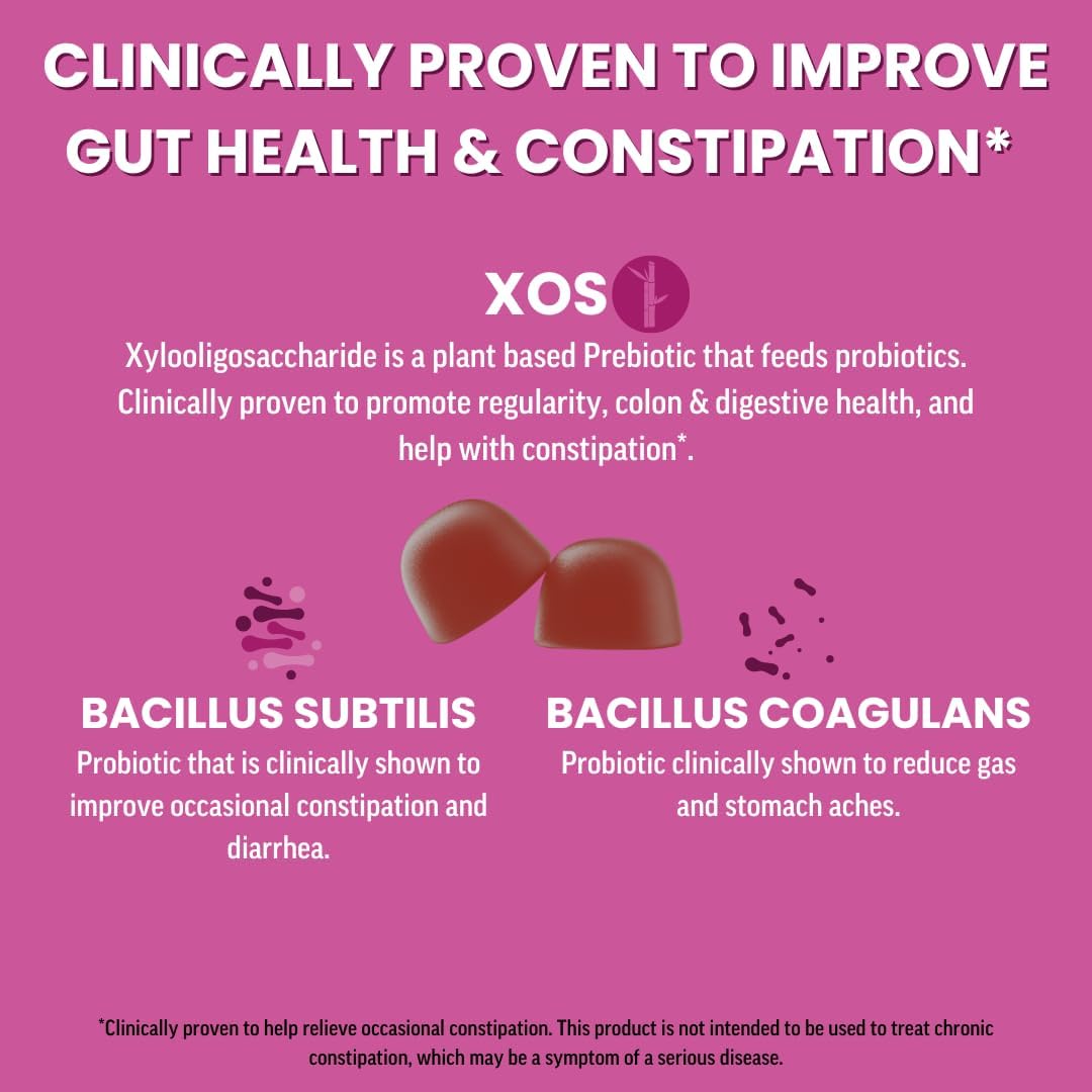 Organic Vegan Prebiotic & Probiotic Gummies for Adults | Llama Naturals Mixed Berry Synbiotics | Gut Health Support | 5B CFU, 60 ct