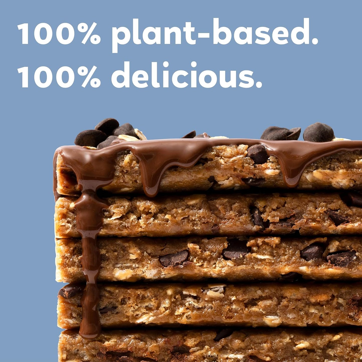 Organic Vegan Protein Bars - Oatmeal Chocolate Chip Flavor, 2.3 Ounce Bars, 12 Count