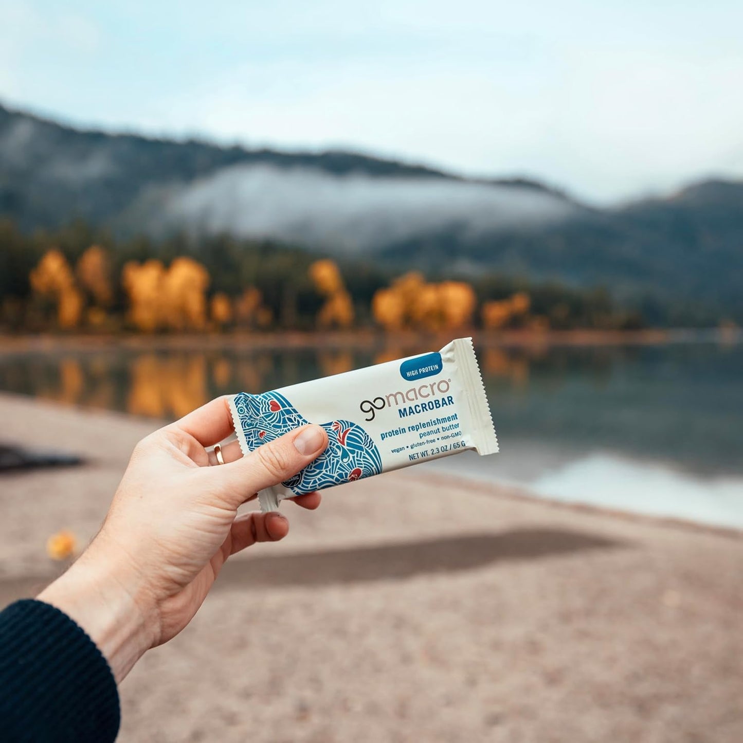 Organic Vegan Protein Bars - Peanut Butter (2.3 oz, 12 Pack) by GoMacro