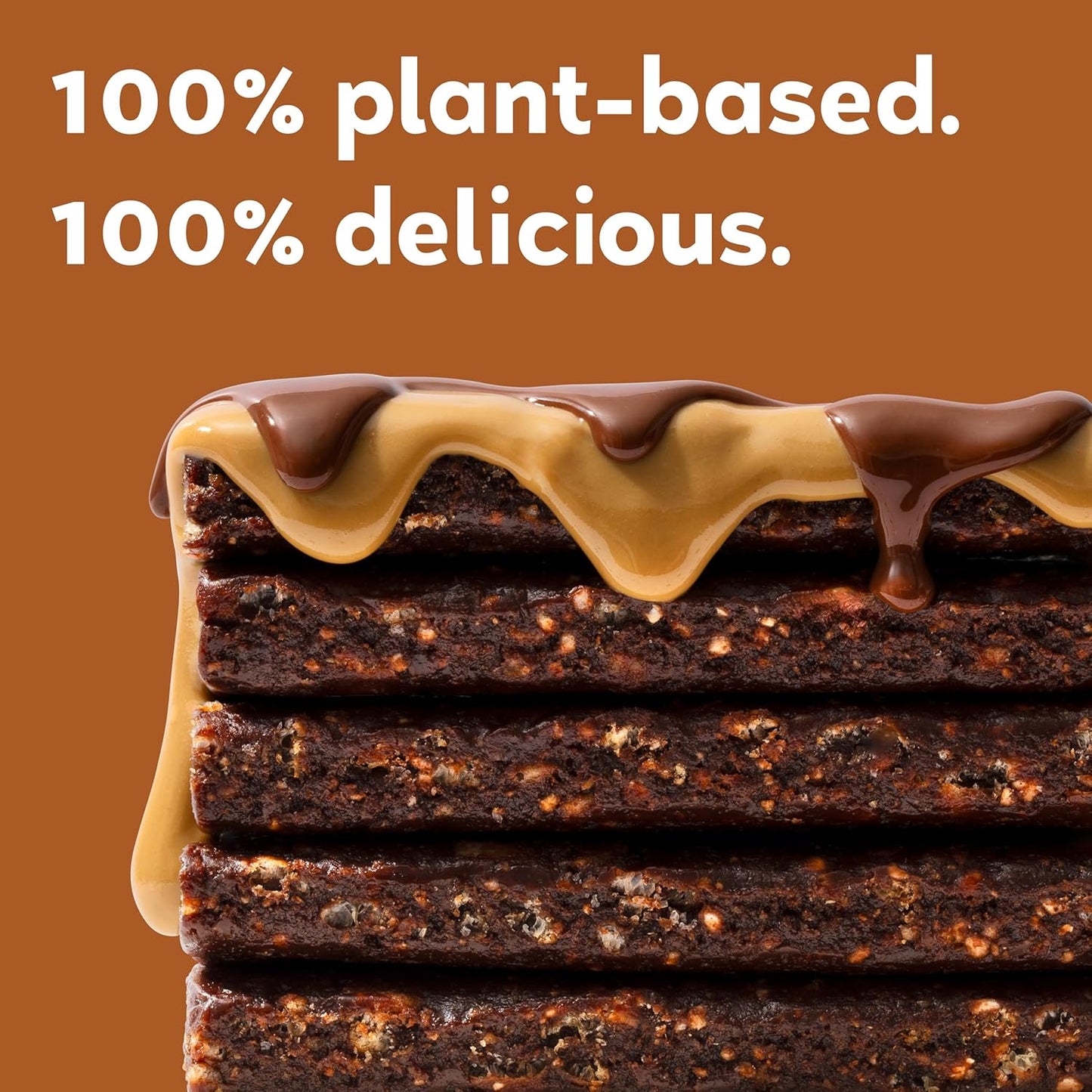Organic Vegan Protein Bars - Sunflower Butter + Chocolate, 2.3 oz Bars, 12 Pack