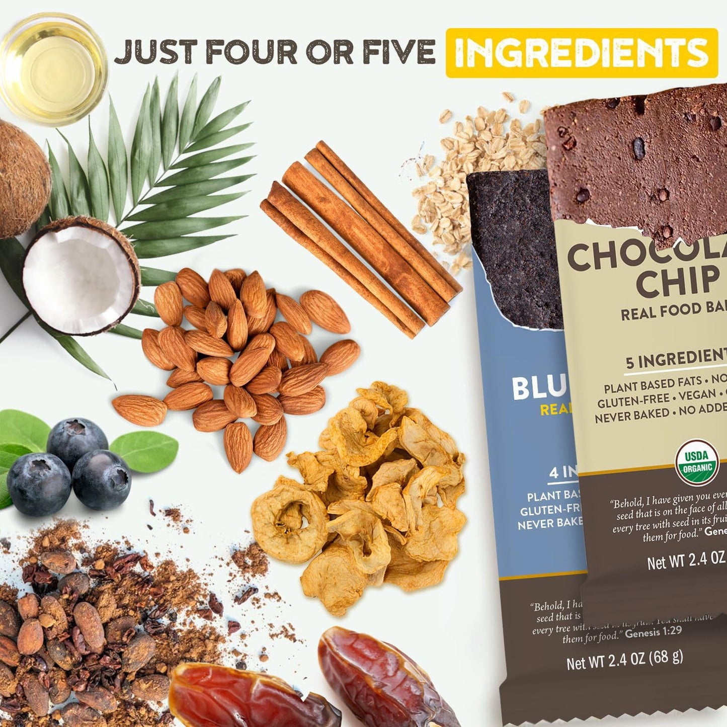 Organic Vegan Protein Bars Variety Pack - Low Sugar Meal Replacement, Gluten Free, Non GMO, Plant Based Snack Bars crafted for Enjoyment