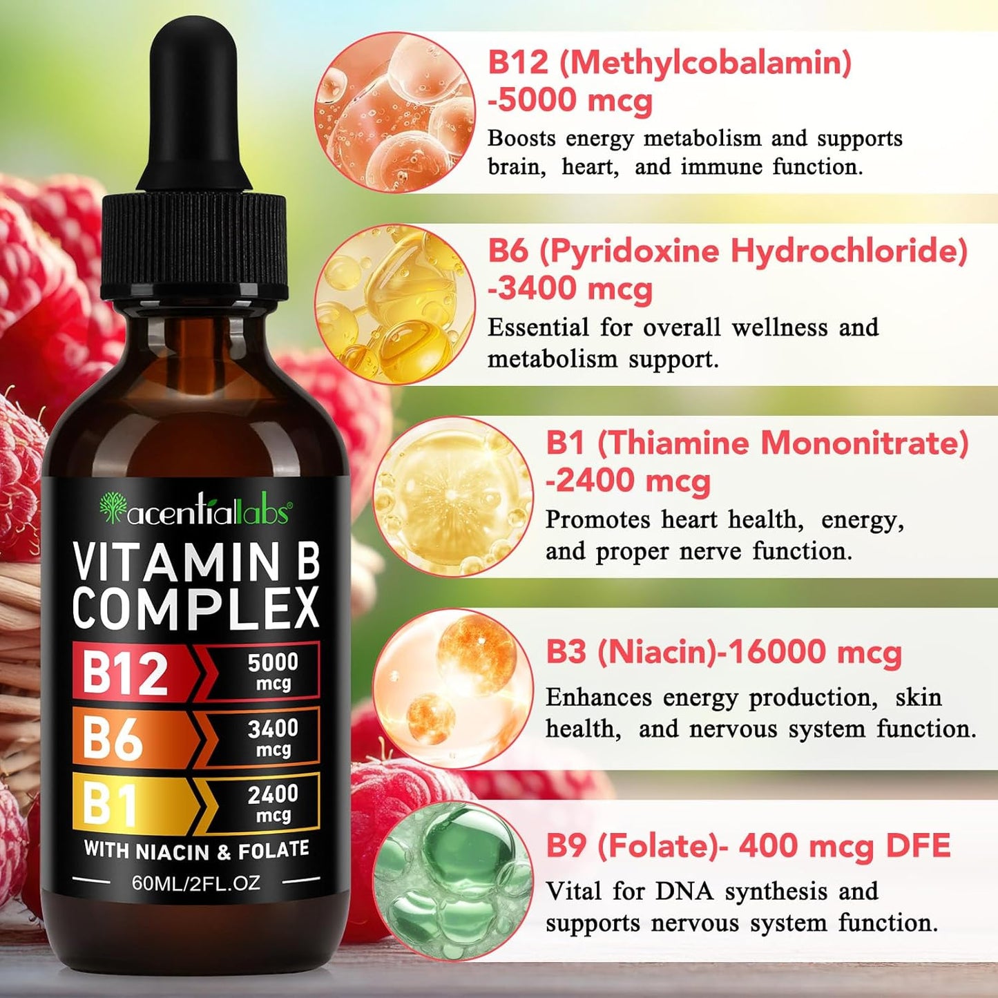 Organic Vitamin B12 Sublingual Drops with B-Complex and Pantothenic Acid - Vegan 5000 mcg Liquid B12 Methylcobalamin Drops for Energy Support