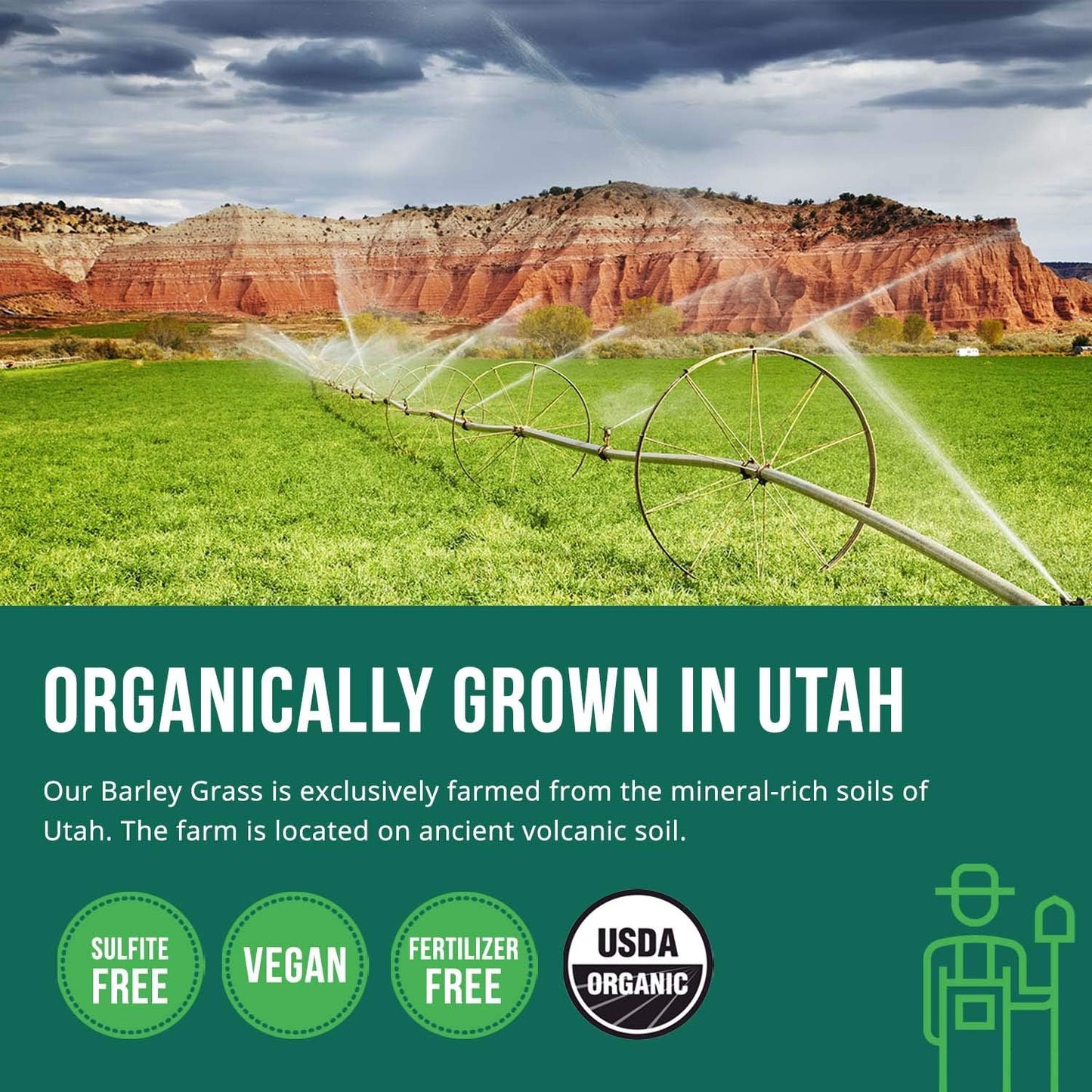 Organic Wheatgrass and Barley Grass Juice Powder Combo - USA Grown in Volcanic Utah Soil, Raw Form, 5.3 oz