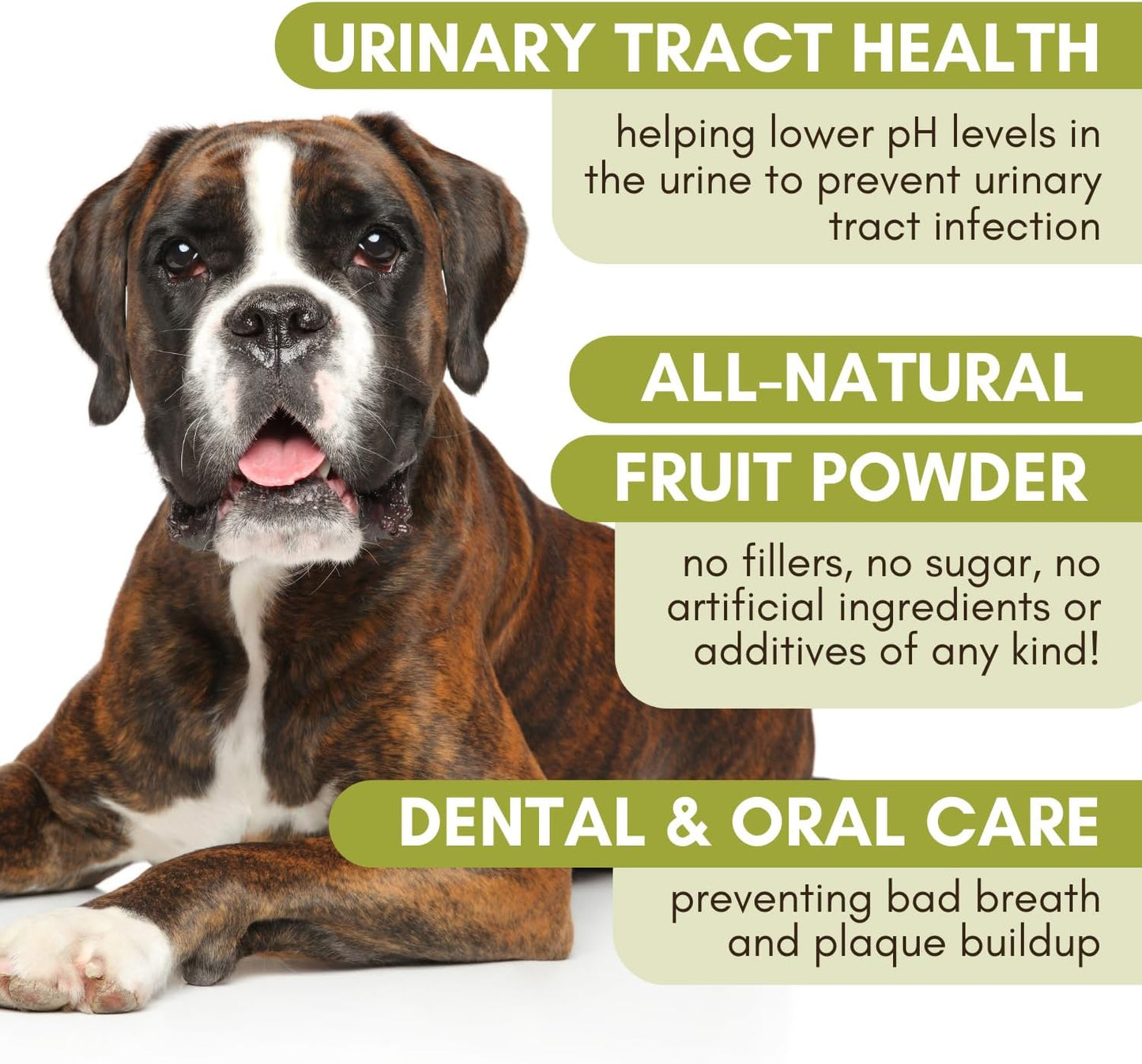 Organic WholeCran Intense Cranberry Powder for Dogs: Supports Dog Urinary Tract Health, Kidney Function, UTI Treatment, Incontinence Relief