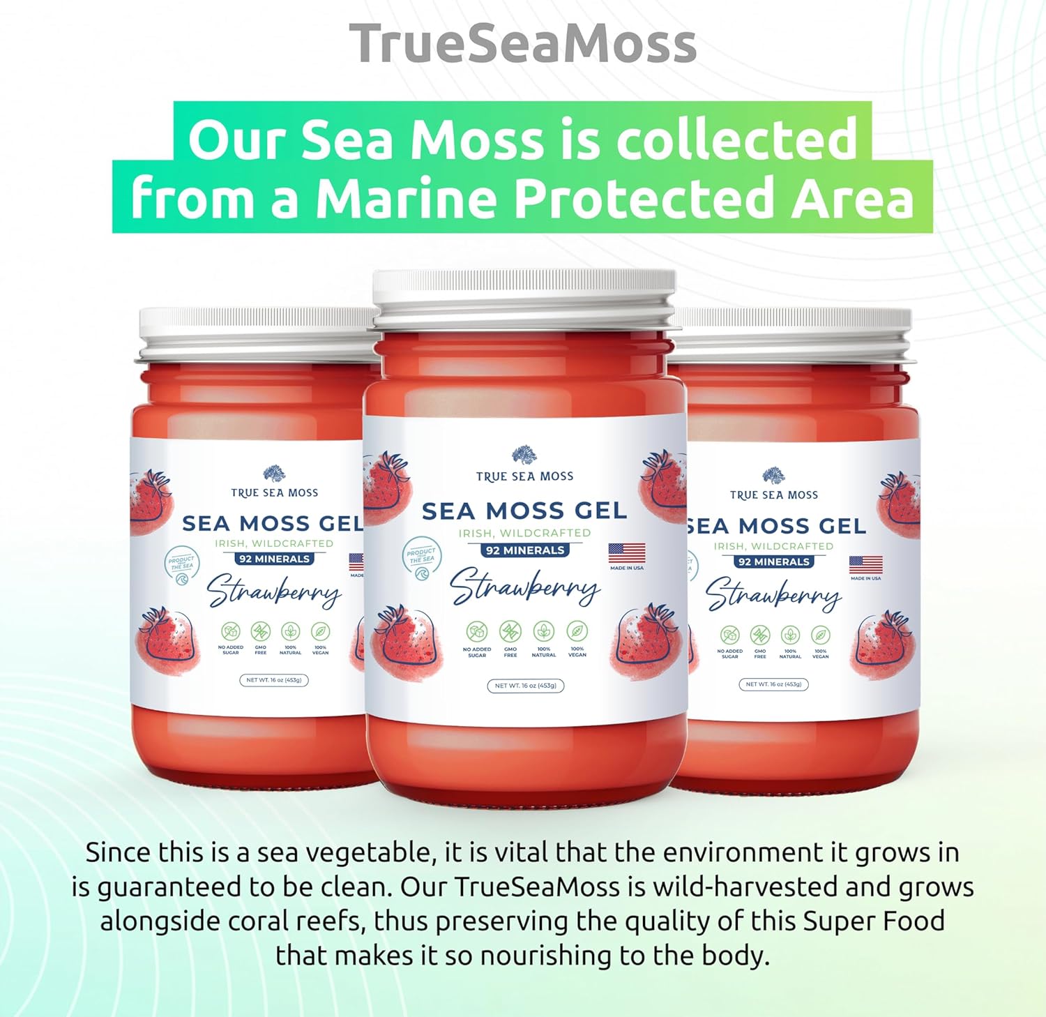 Organic Wildcrafted Irish Sea Moss Gel Bundle with Mango and Strawberry - Rich in Minerals, Proteins & Vitamins