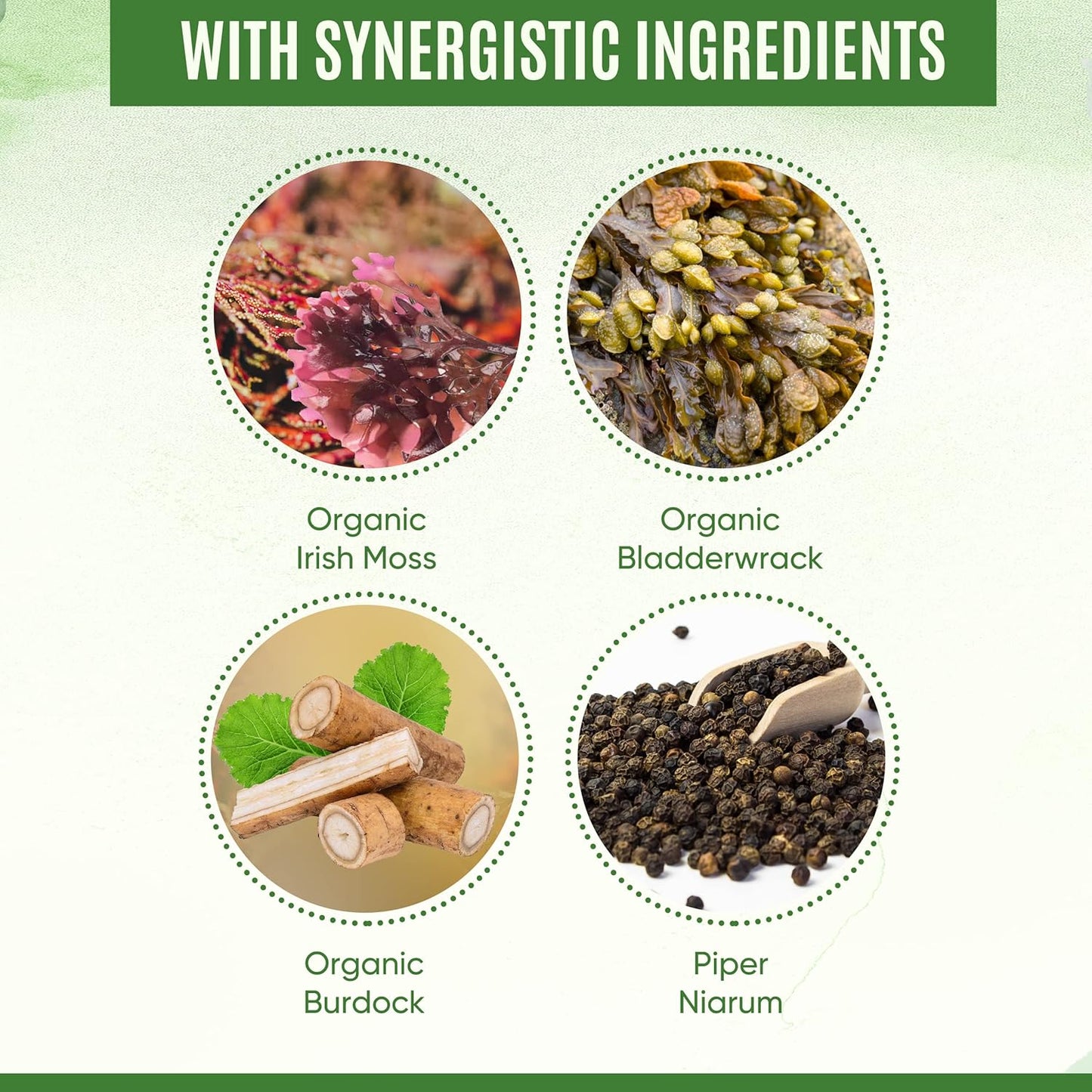 Organic YEVANI Sea Moss Capsules with Bladderwrack & Burdock Root for Gut Health, Immune Support, Thyroid - All Natural Supplement