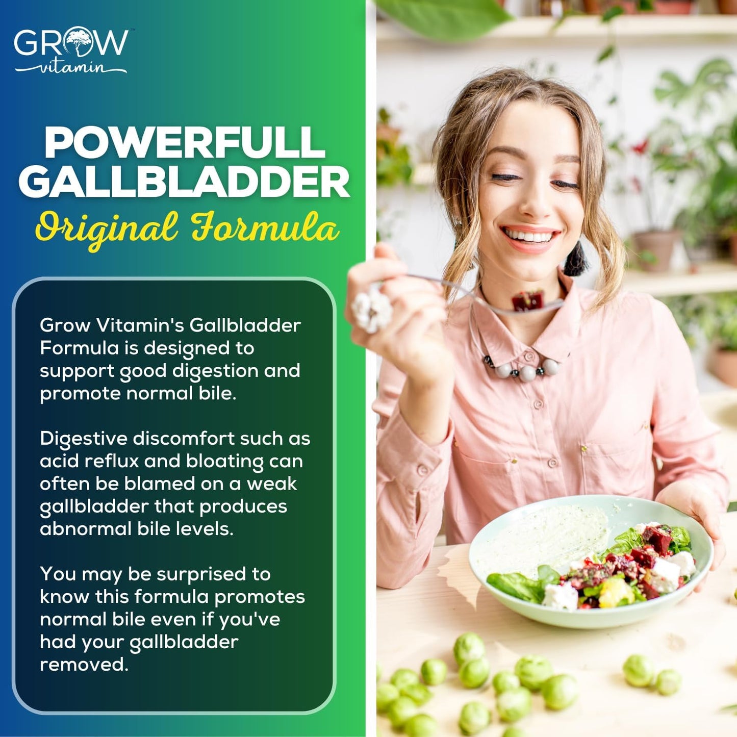 Original Gallbladder Formula with Purified Bile Salts, Ox Bile Digestive Enzymes, and Digestive Herbs - 90 Capsules