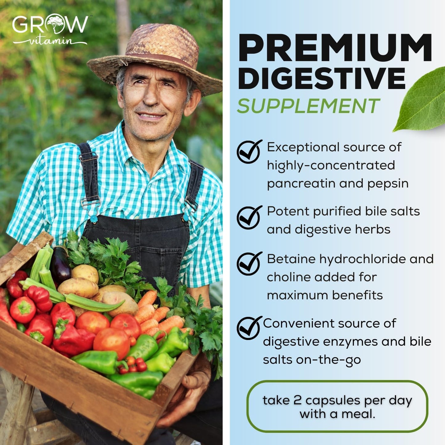 Original Gallbladder Formula with Purified Bile Salts, Ox Bile Digestive Enzymes, and Digestive Herbs - 90 Capsules