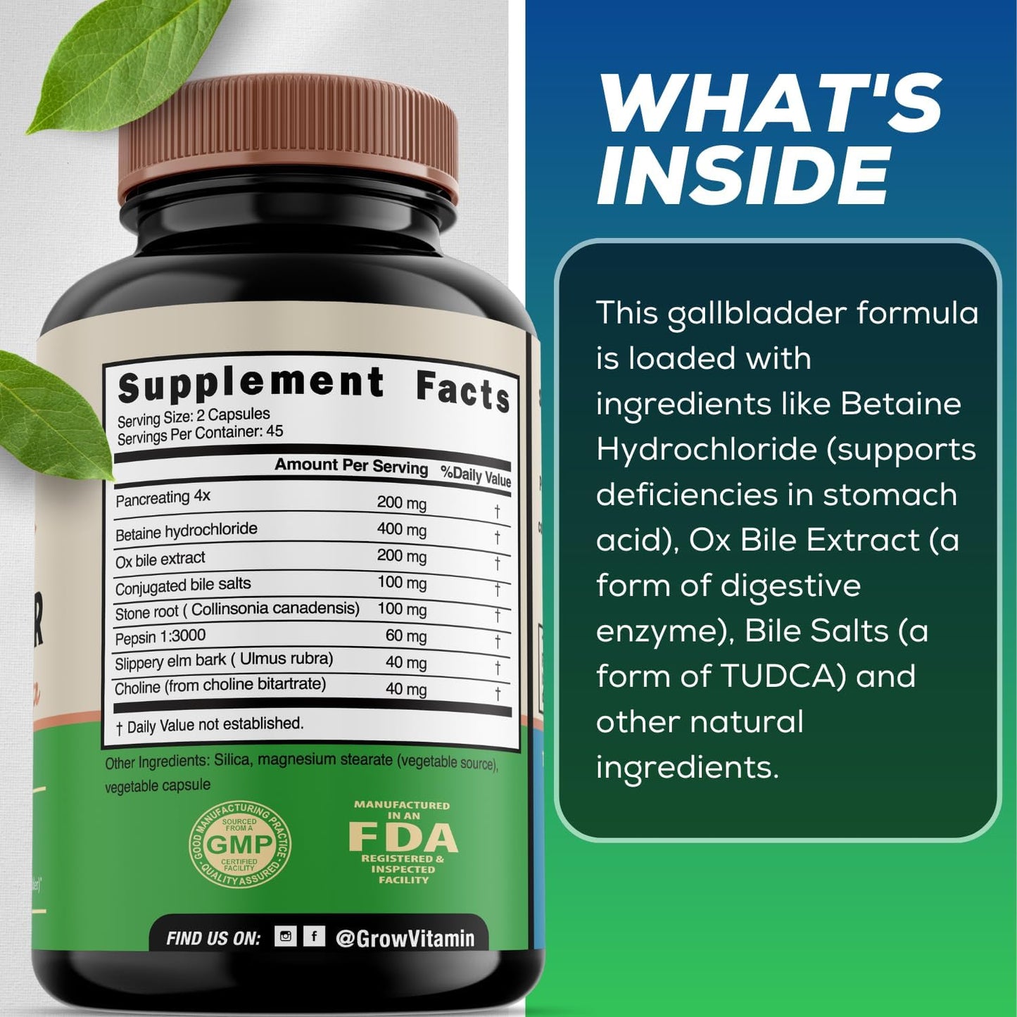 Original Gallbladder Formula with Purified Bile Salts, Ox Bile Digestive Enzymes, and Digestive Herbs - 90 Capsules