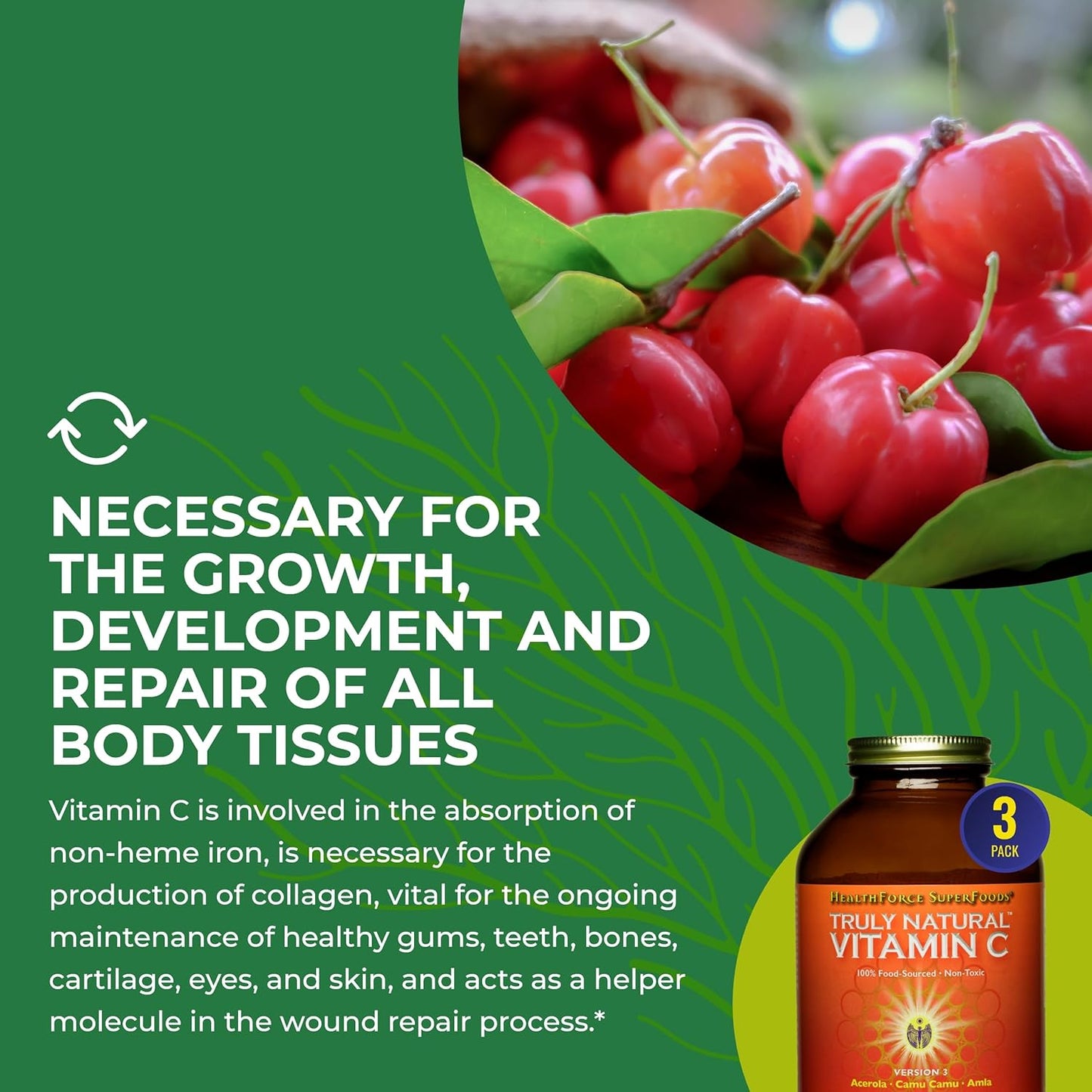 Pack of 2 HealthForce SuperFoods Truly Natural Vitamin C - Immune Support with Camu Camu Berry - Vegan, Non-GMO - 400g
