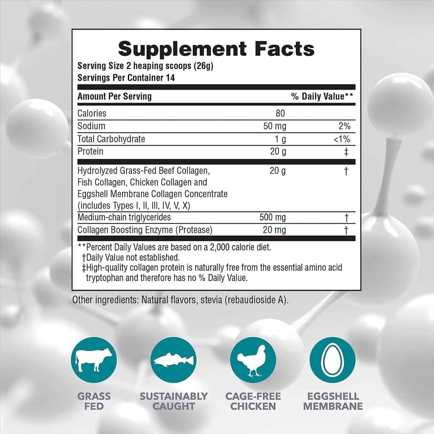 Pack of 2 Natures Plus Vanilla Collagen Peptides Powder - 0.8 lb - Supports Hair, Skin, Nails & Joints - Immune System Boost - Non-GMO, Gluten Free - 28 Servings