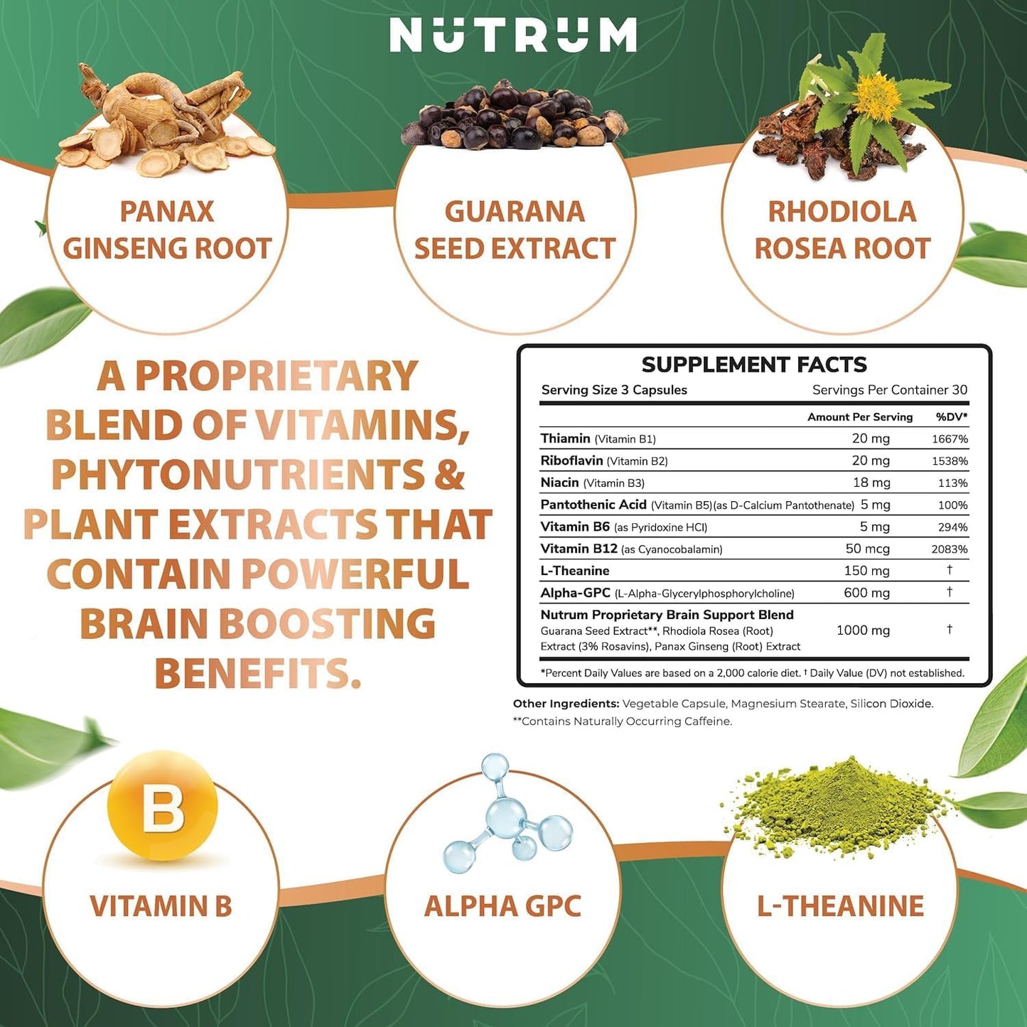 Pack of 2 Nutrum Brain Booster Nootropic Supplements for Focus, Memory, and Energy with Alpha-GPC, L-Theanine, Rhodiola, Ginseng, and Guarana